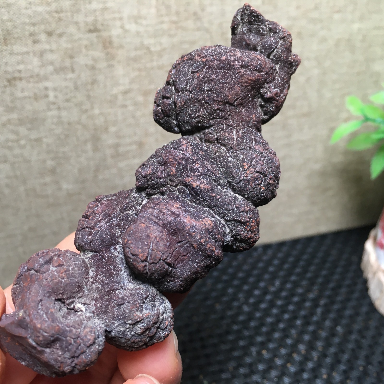 100g Natural dung coprolite Petrified Poop crystal Specimen fb1479
