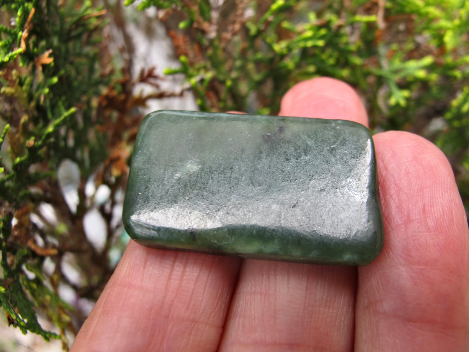 Nephrite Jade Authentic Crystal Polished Palm flat stone A luck heart chakra 8g