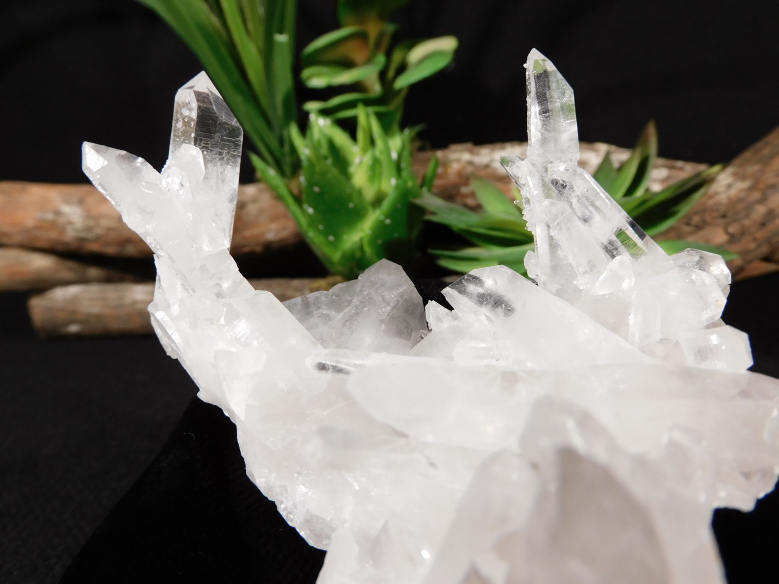 Twelve Points! TRANSLUCENT Quartz Crystal Cluster Collier Creek ARKANSAS 99.0gr