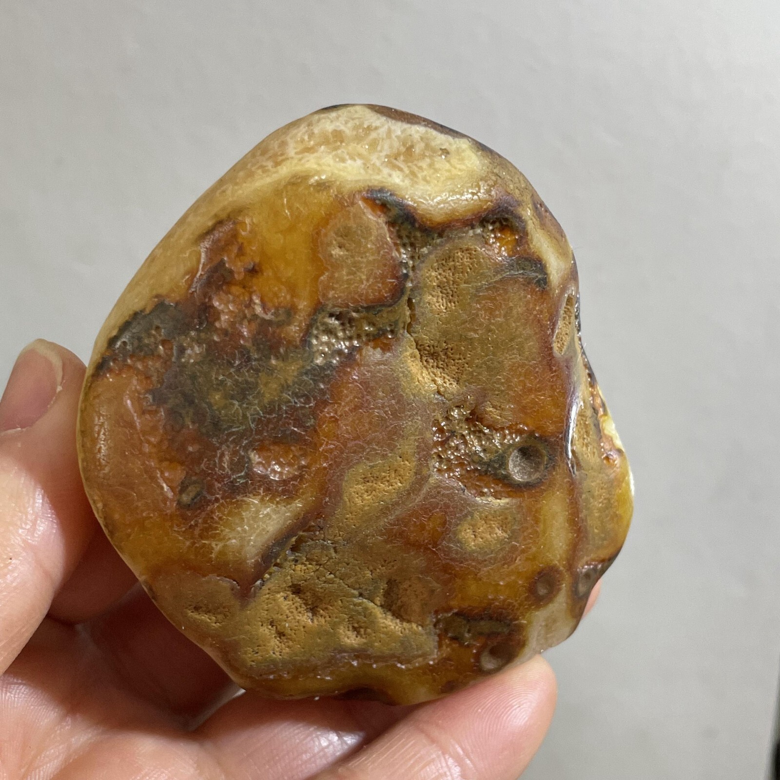 205g Bonsai Suiseki- Gobi Agate Eyes Stone-Rare Stunning Viewing