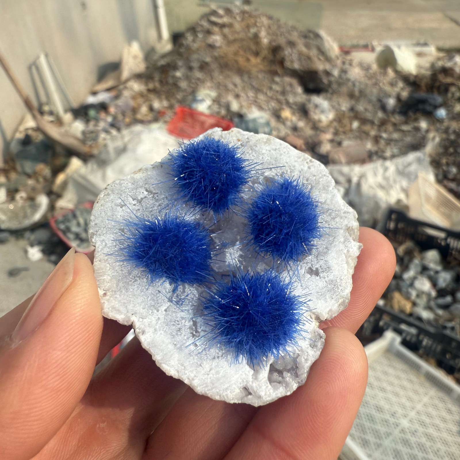 Raw Rough Dandelion Zeolite Cluster Blue Cave Quartz Crystal Decoration 10pc