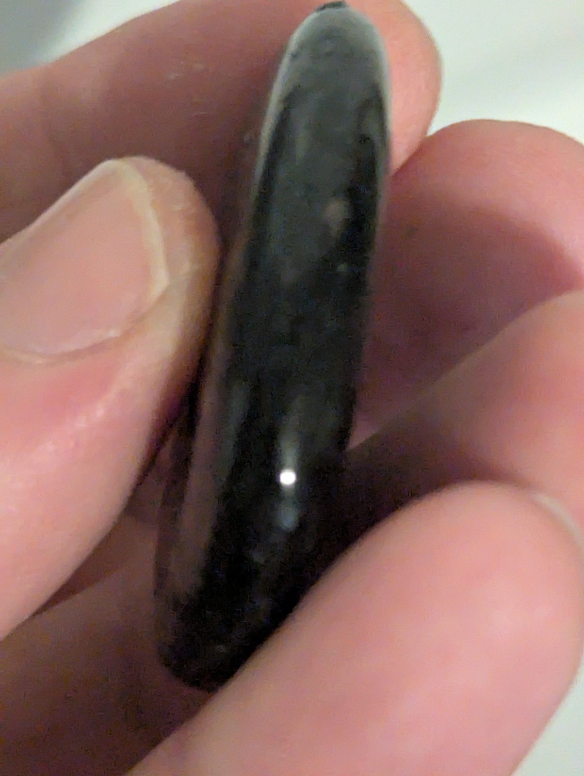 Flat Round Ovular sparkling Palm Stone