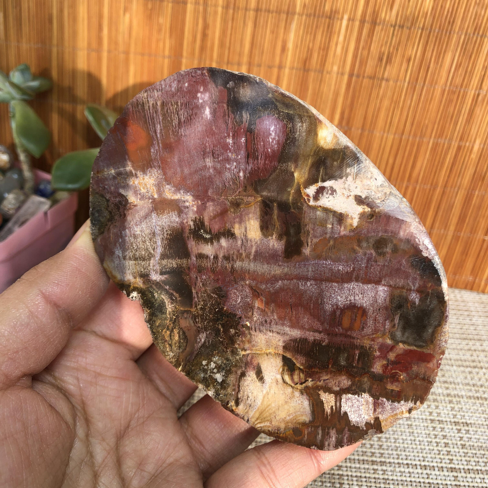 109mm natural Beautiful Petrified Wood Crystal Slice mineral specimen 341g A4860