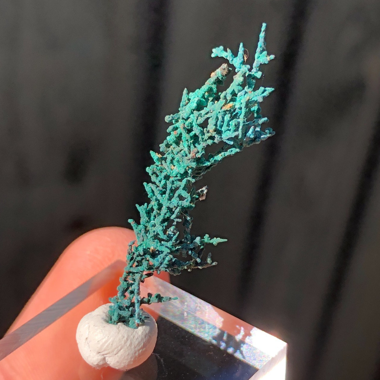 3.4cm Copper Wire Crystals with Malachite Patina from Mount Isa, QLD, Australia