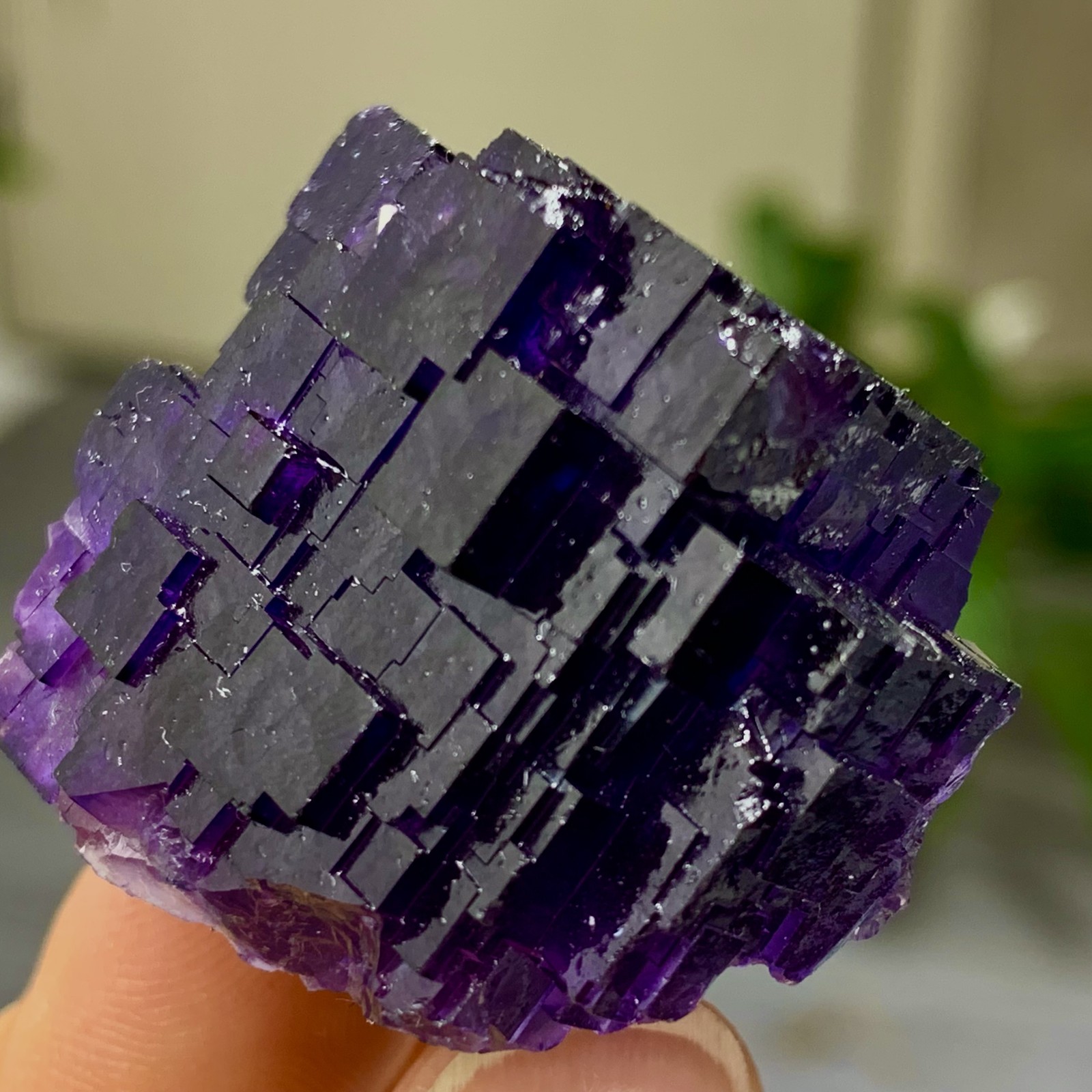 40G Natural purple framed cubic fluorite mineral specimen/Inner Mongolia