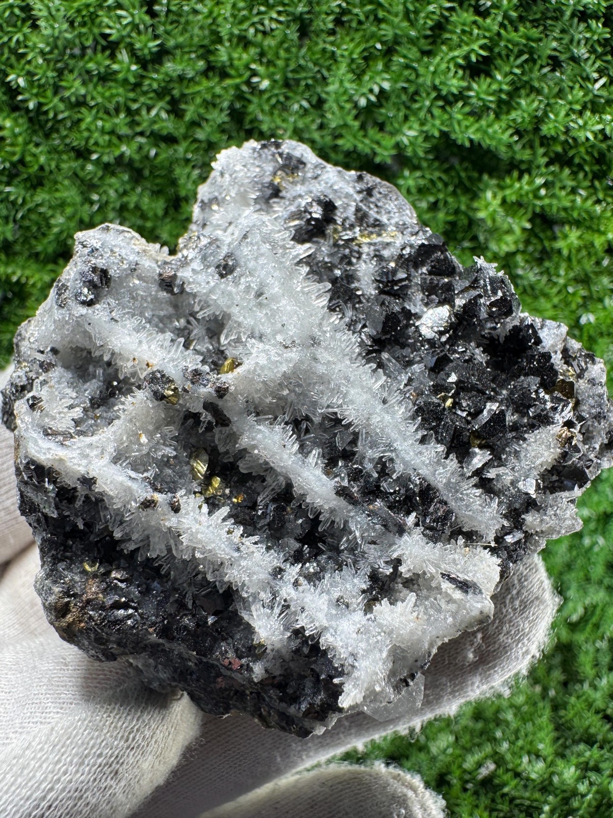 LOOK AT THAT! Cluster of Pyrite, Galena & Quartz from the / N317