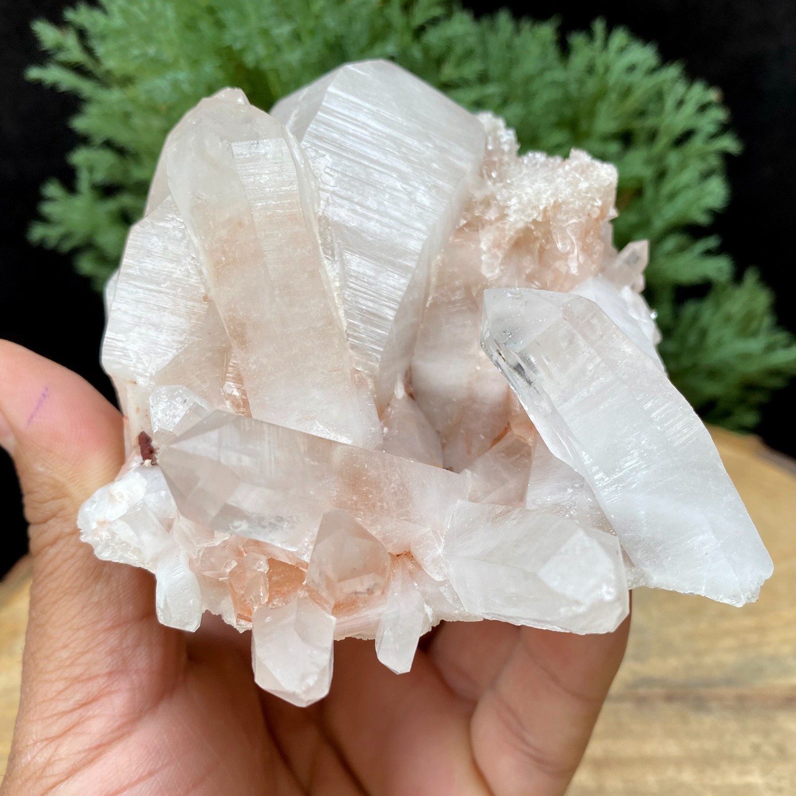 Lemurian Crystal Quartz Pink Himalayan Samadhi Natural Healing Stone 1.10 LBS