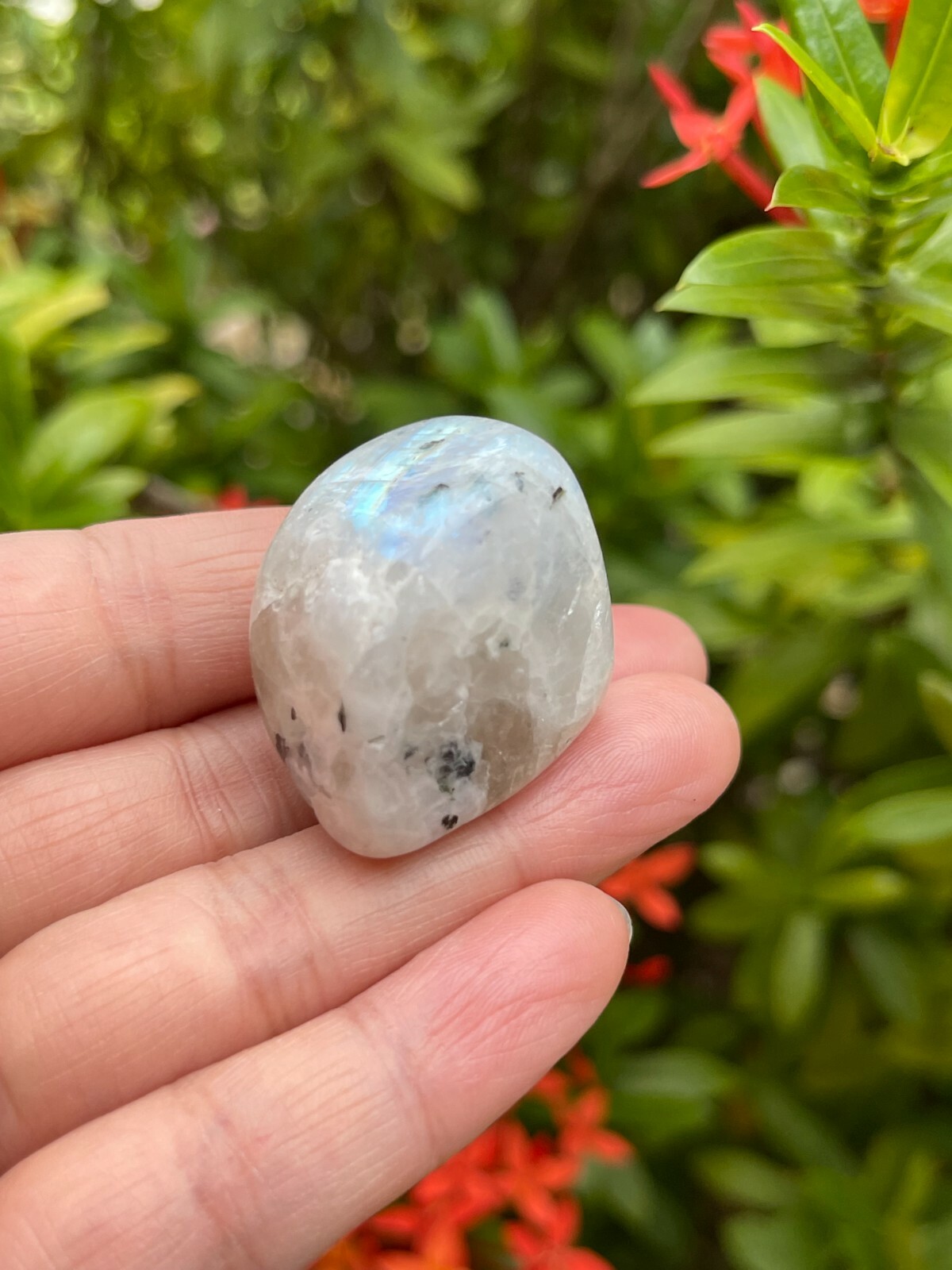 Rainbow Moonstone Tumbled Stone, 0.75-1″ Tumbled Rainbow Moonstone, Bulk Lots