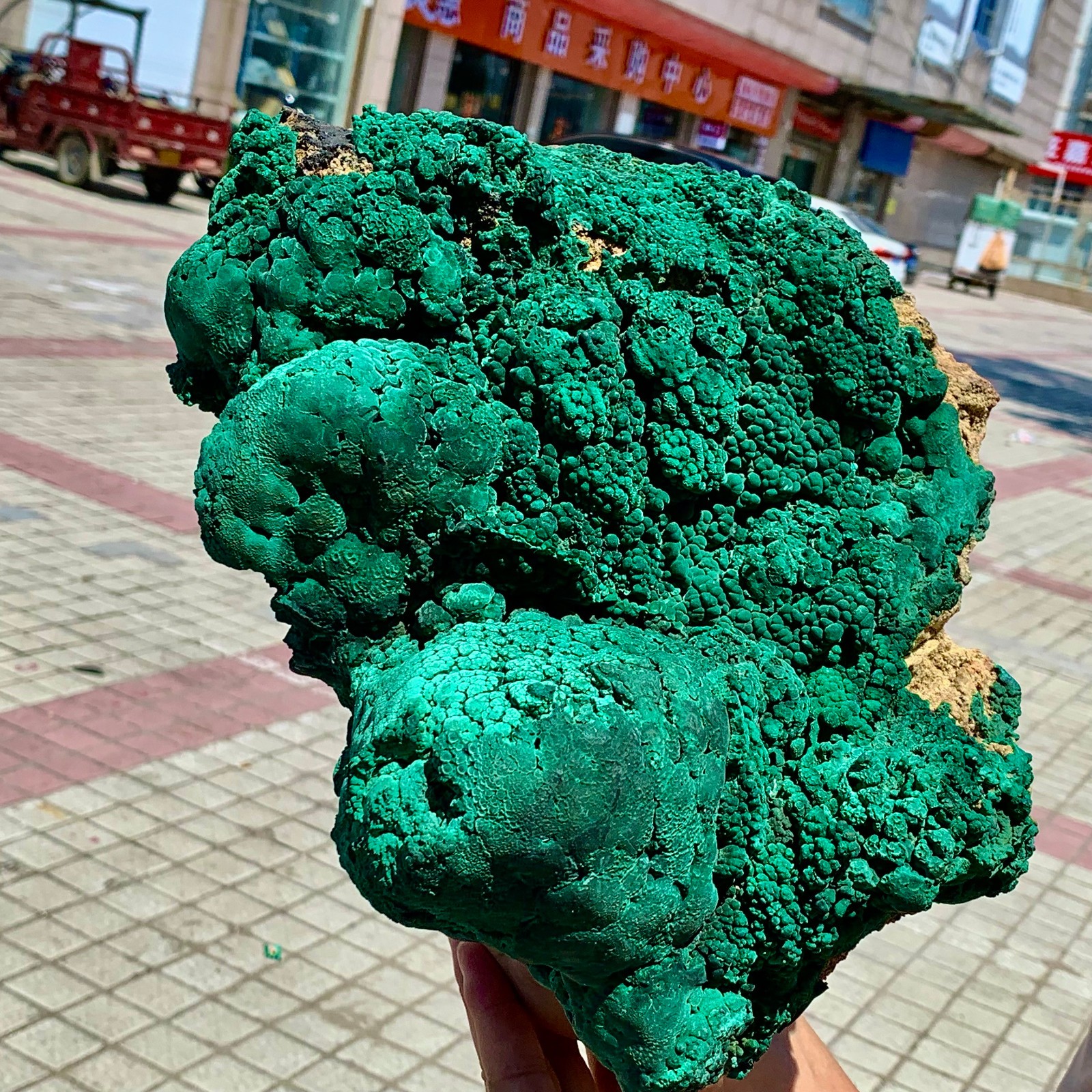 17.82LB Natural VELVET Malachite cat’s eye specimen crystal mineral-Congo