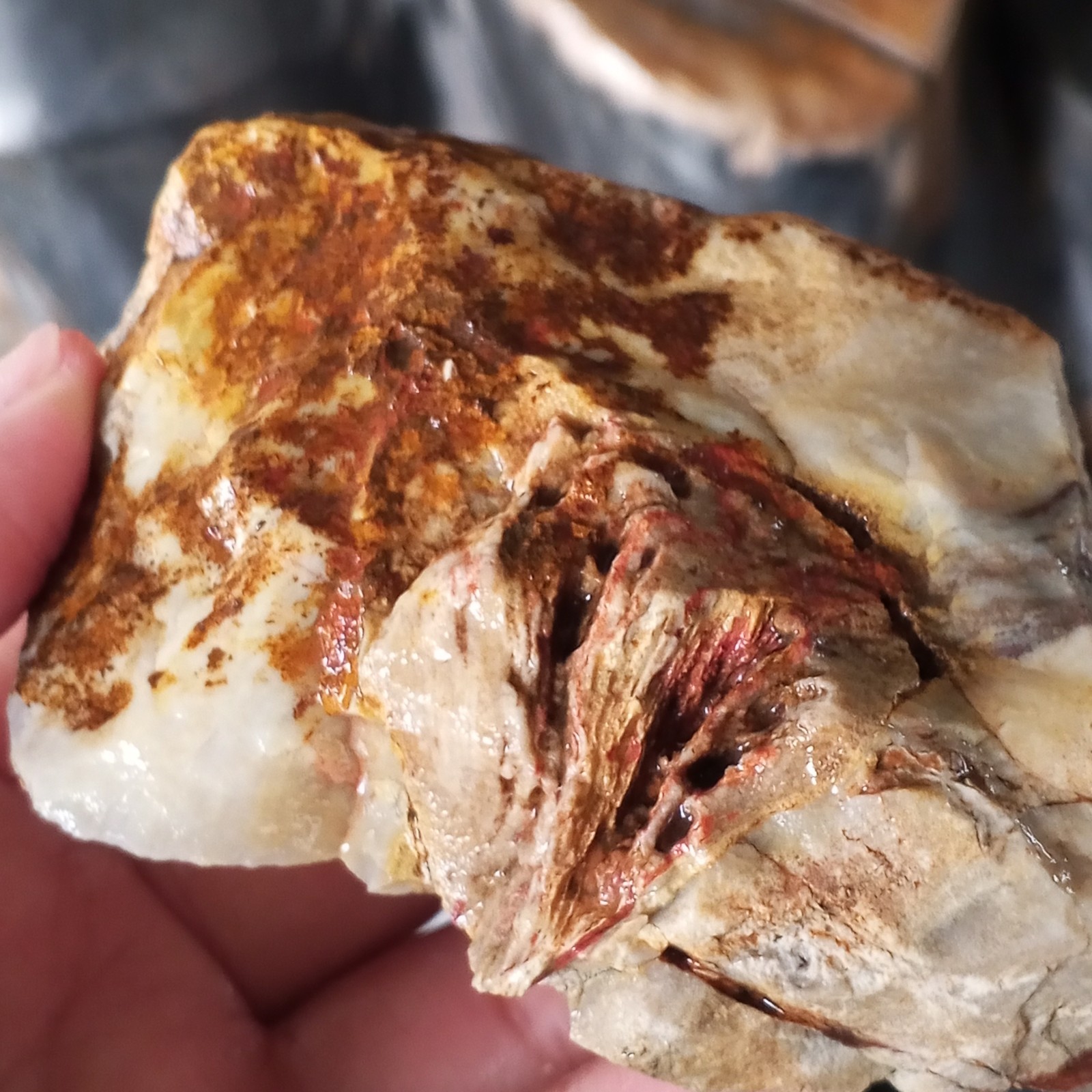AMAZING RARE !! Slice Natural Japer Chalcedony, Jasper Polished Slab 249gr