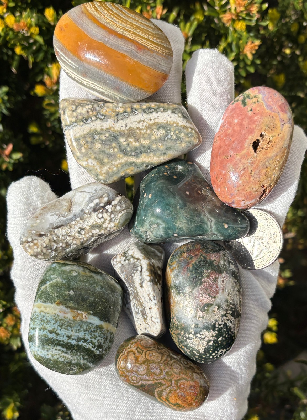USA SALE 340g LOT XL/L TUMBLES OCEAN JASPER TUMBLES TUMBLE TUMBLED STONE STONES