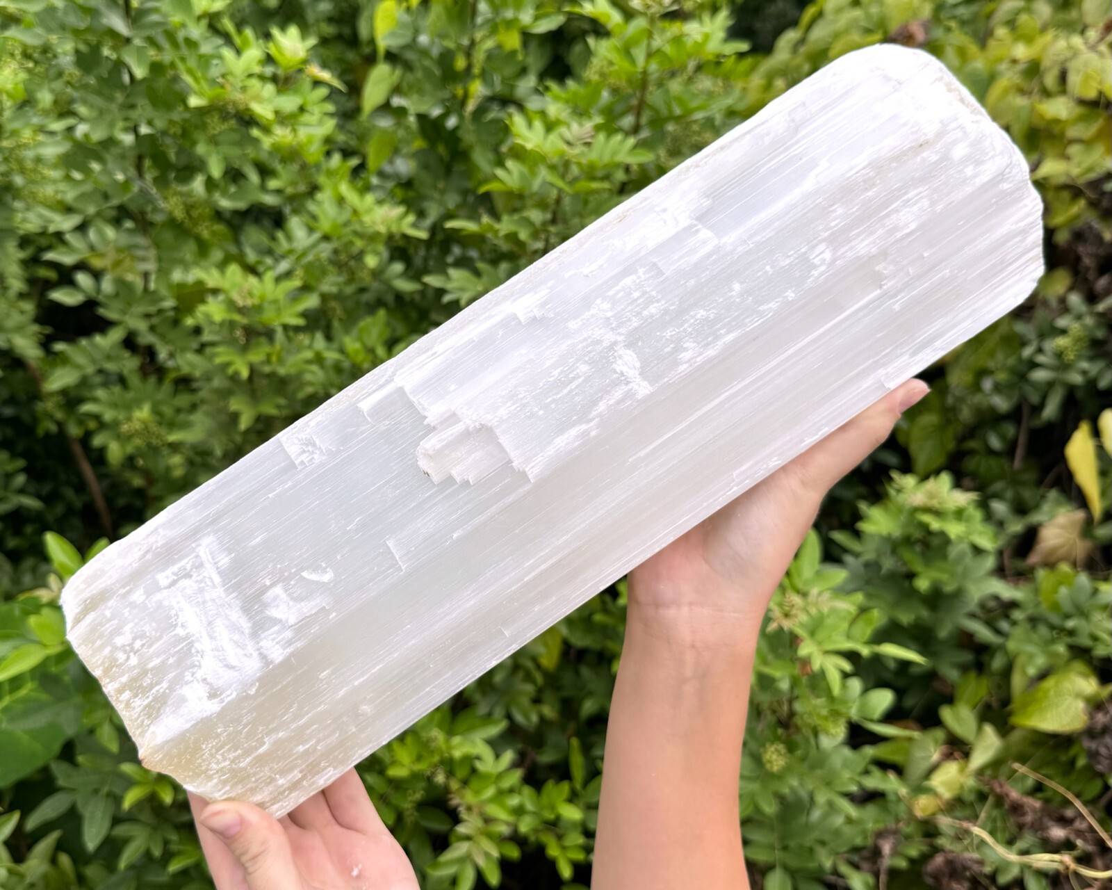 MASSIVE Selenite Logs – Natural White Selenite Crystals (HUGE Selenite Sticks)