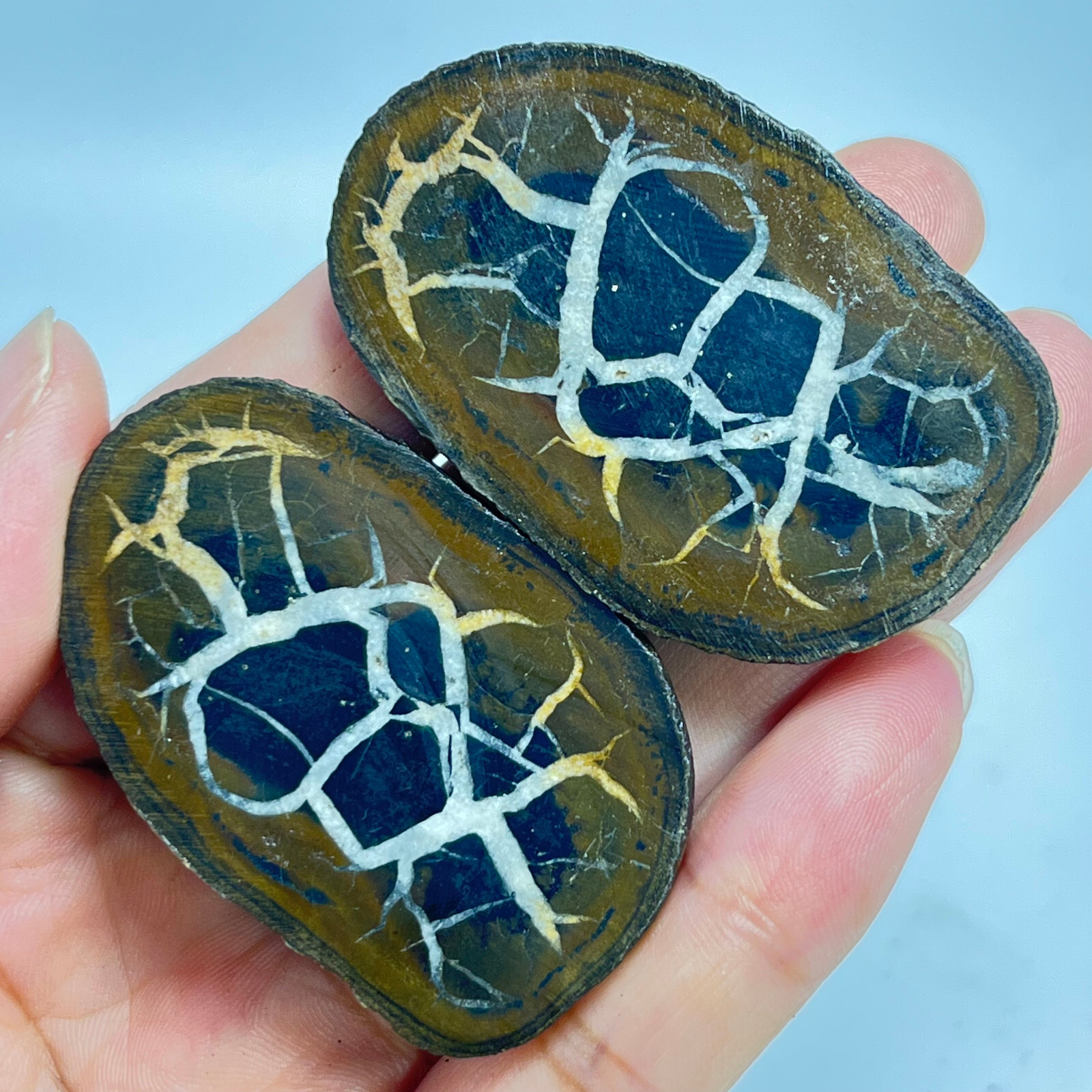 62G Natural Crystal Moroccan Turtle Back Stone Cutting Quartz Energy Spirit