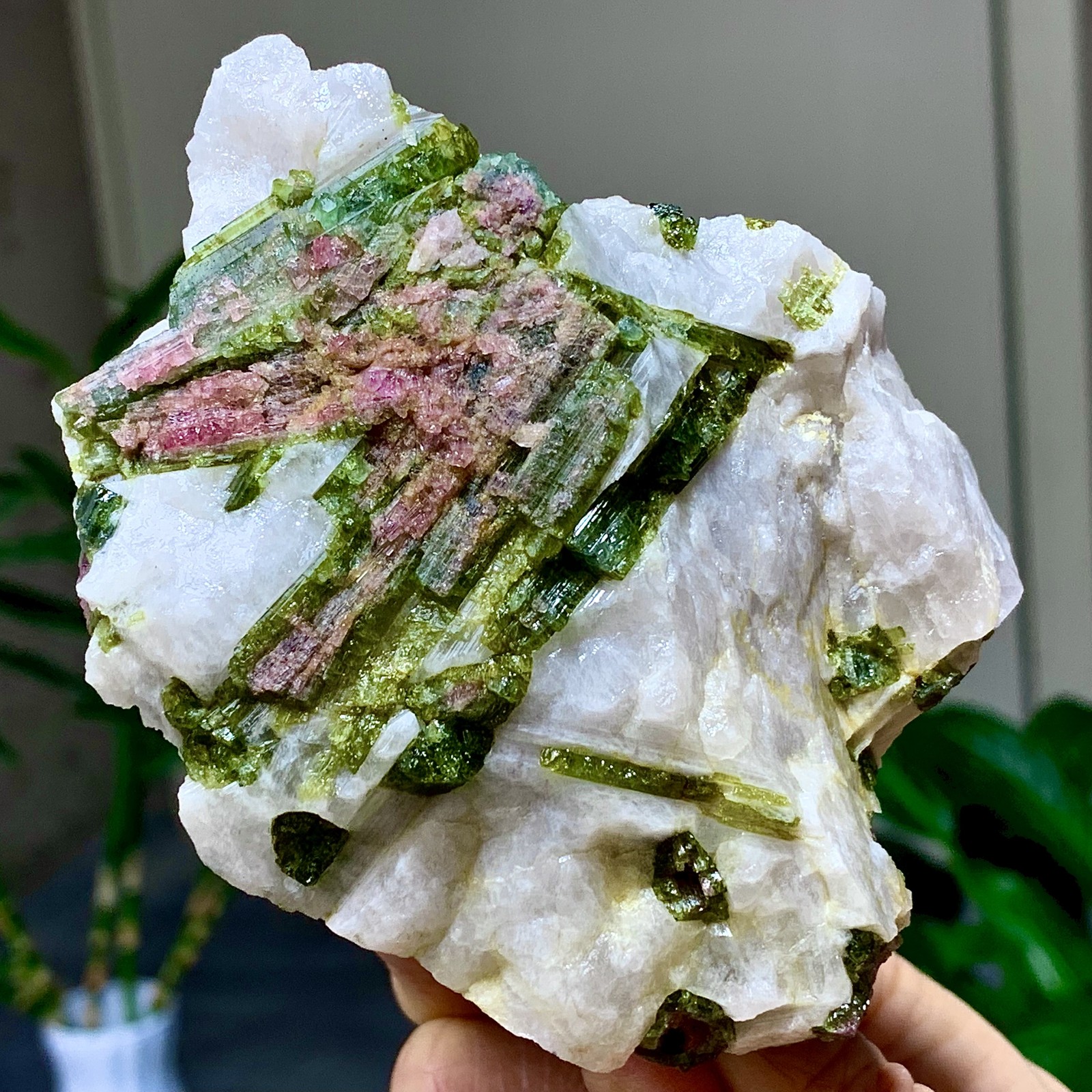 414G Natural Two tone watermelon tourmaline crystal cluster mineral specimen