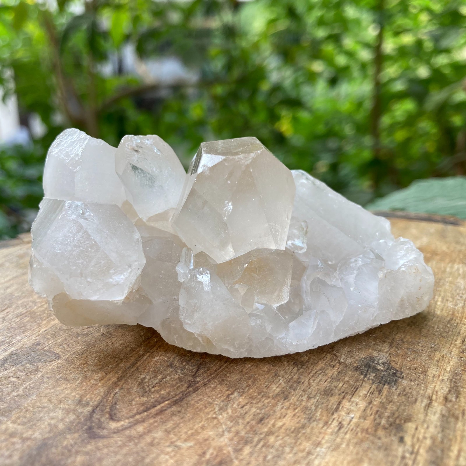 Natural Himalayan White Quartz Rough Crystal Stone HealingMinerals 0.26 lbs