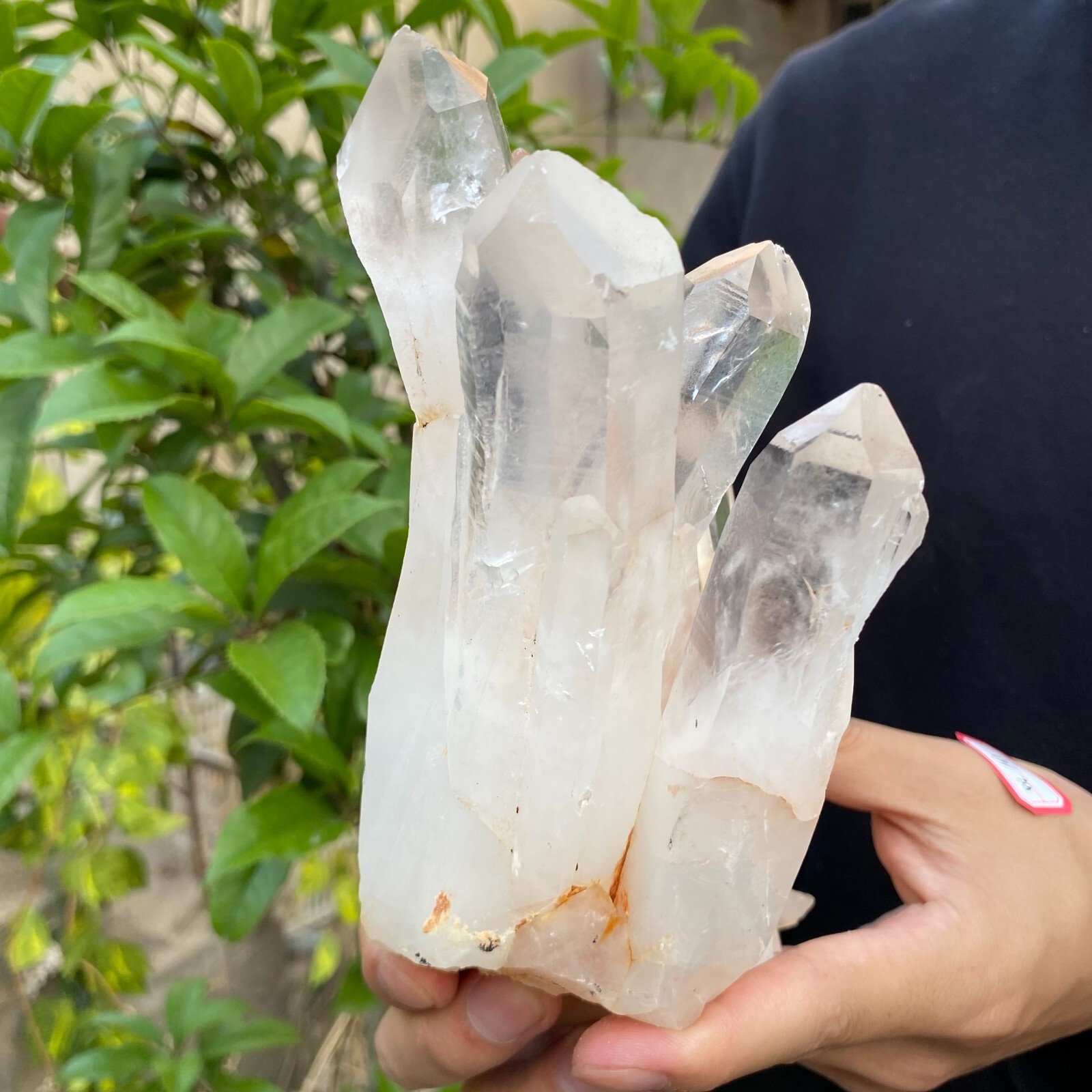 3.9lb Natural Clear White quart Crystal Cluster Raw Healing Specimen