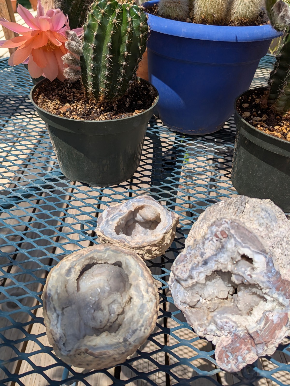Dugway Double Geodes * Rough * 3 Pieces * 4 lbs. 10 oz.