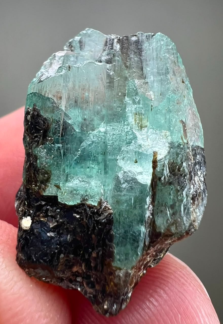 18CT, Beryl Var! Natural Emerald Huge Transparent Crystal on Black Mica ,KPK PAK