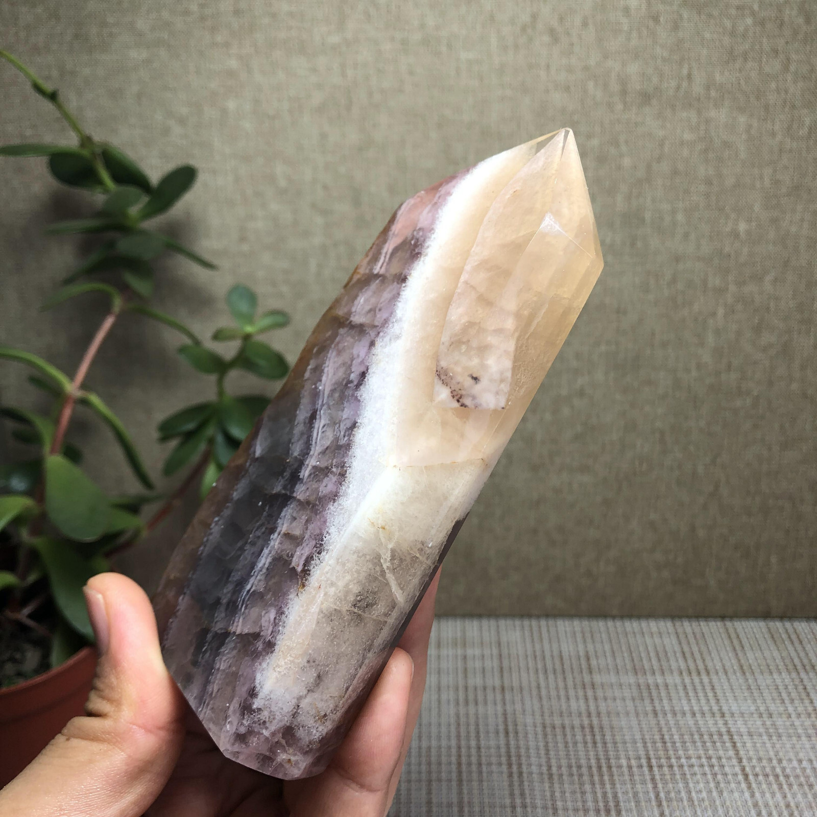 317g Natural candy Fluorite Polish/Rough wand Crystal free standing 120mm A2895