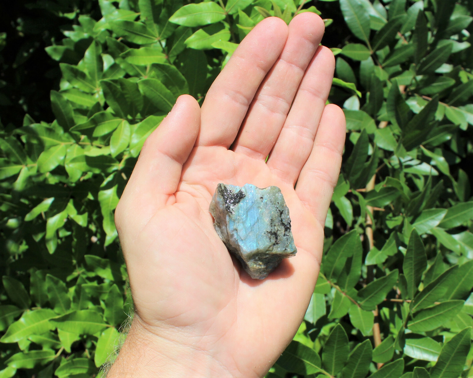 1 Rough Labradorite Crystal (Raw Natural Gemstone Specimen)