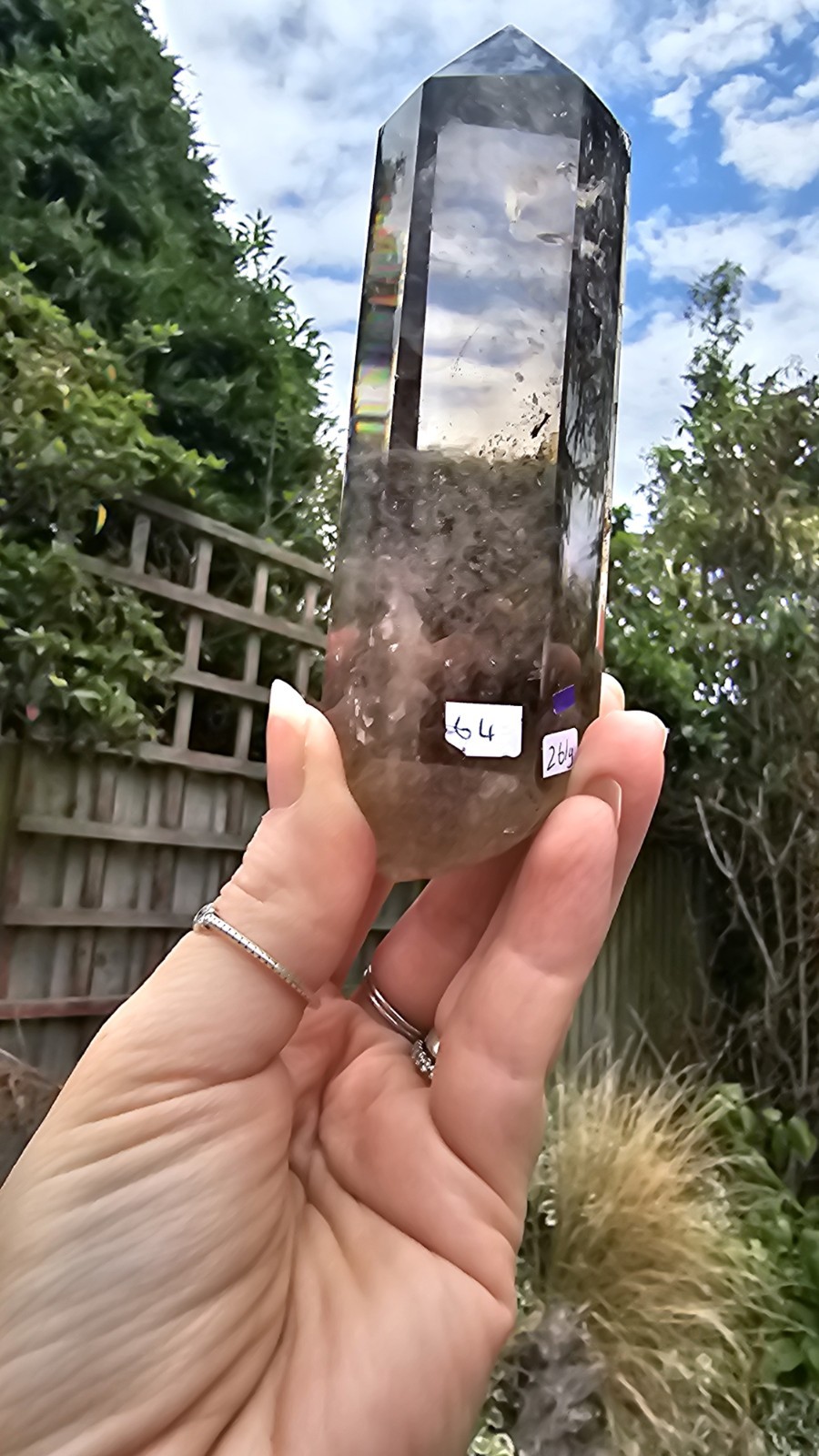 A Grade Smokey Quartz Freeform On Wood Root Base Point 261g 15.5cm smoky