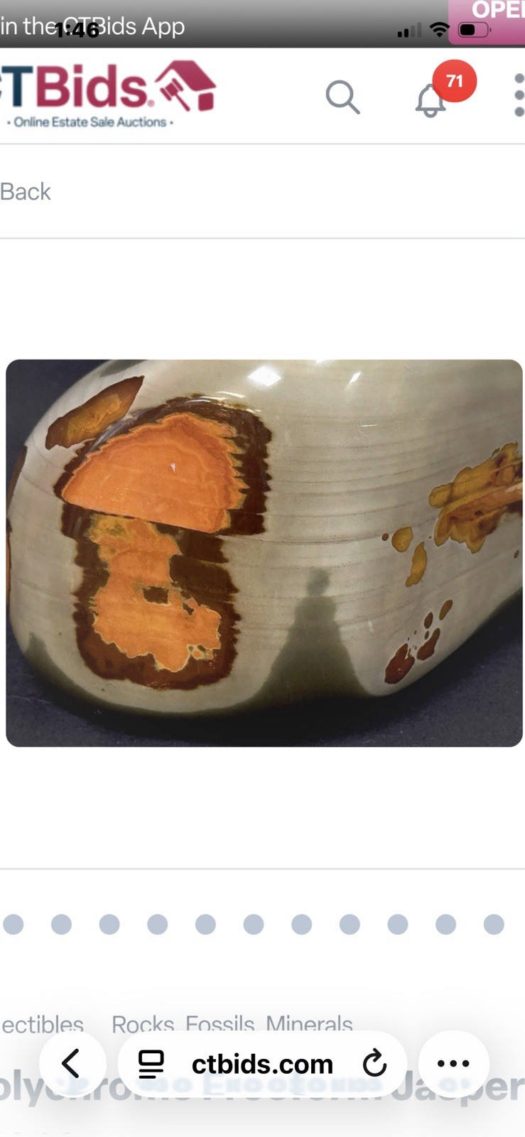 Stunning Madagascar POLYCHROME JASPER 9”x 8” and 15.8 Pounds
