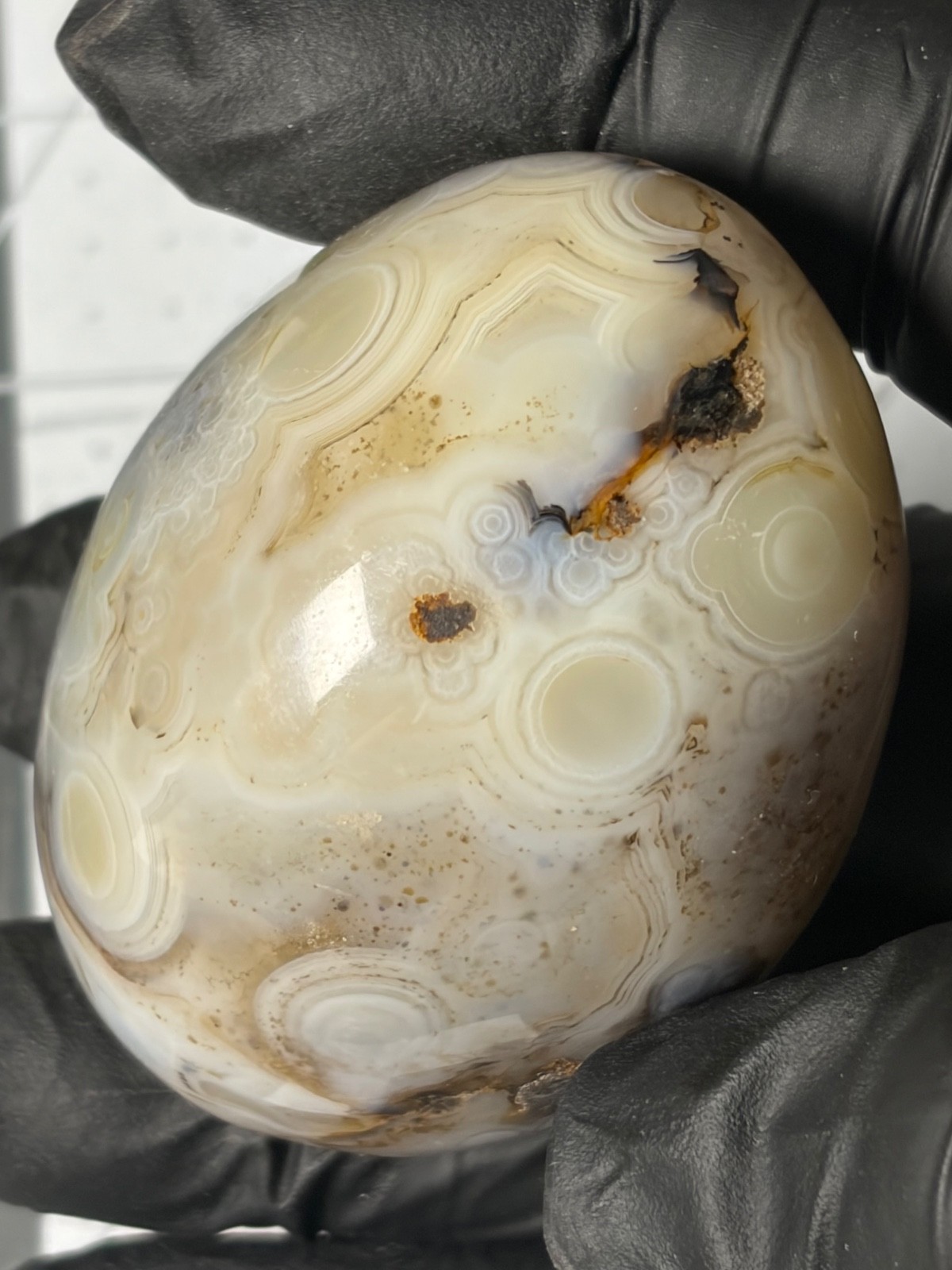 Excellent Agate Palm Stone Dendritic Orbs Banding