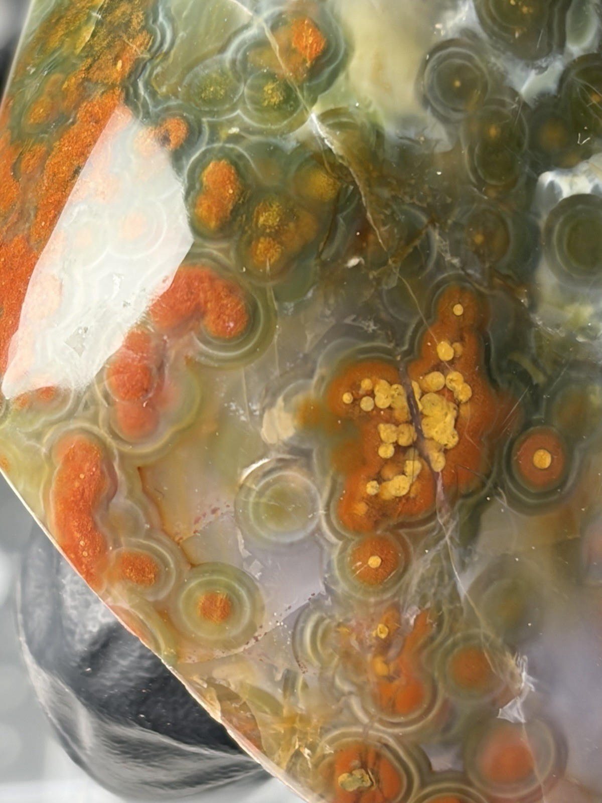 Jelly Ocean Jasper Free Form Colorful Orbs