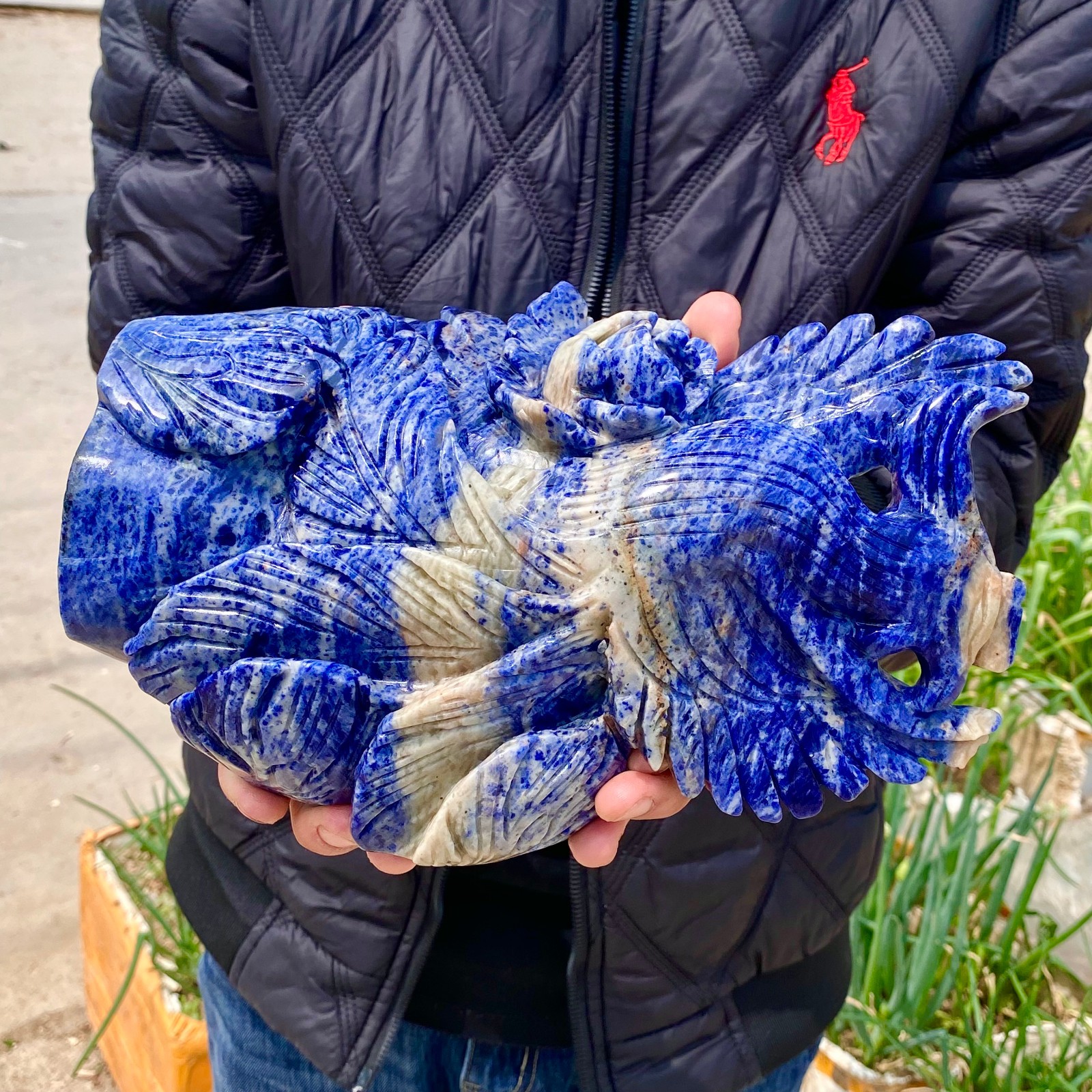 7LB Natural Blue Texture Crystal Carving Phoenix Rose Spiritual Energy