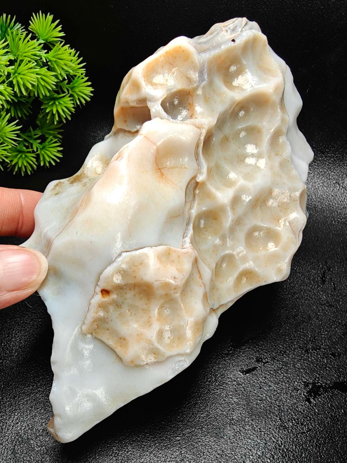 Rare China Inner Mongolia Gobi Eye Agate Stone Specimen 100% Natural Designer