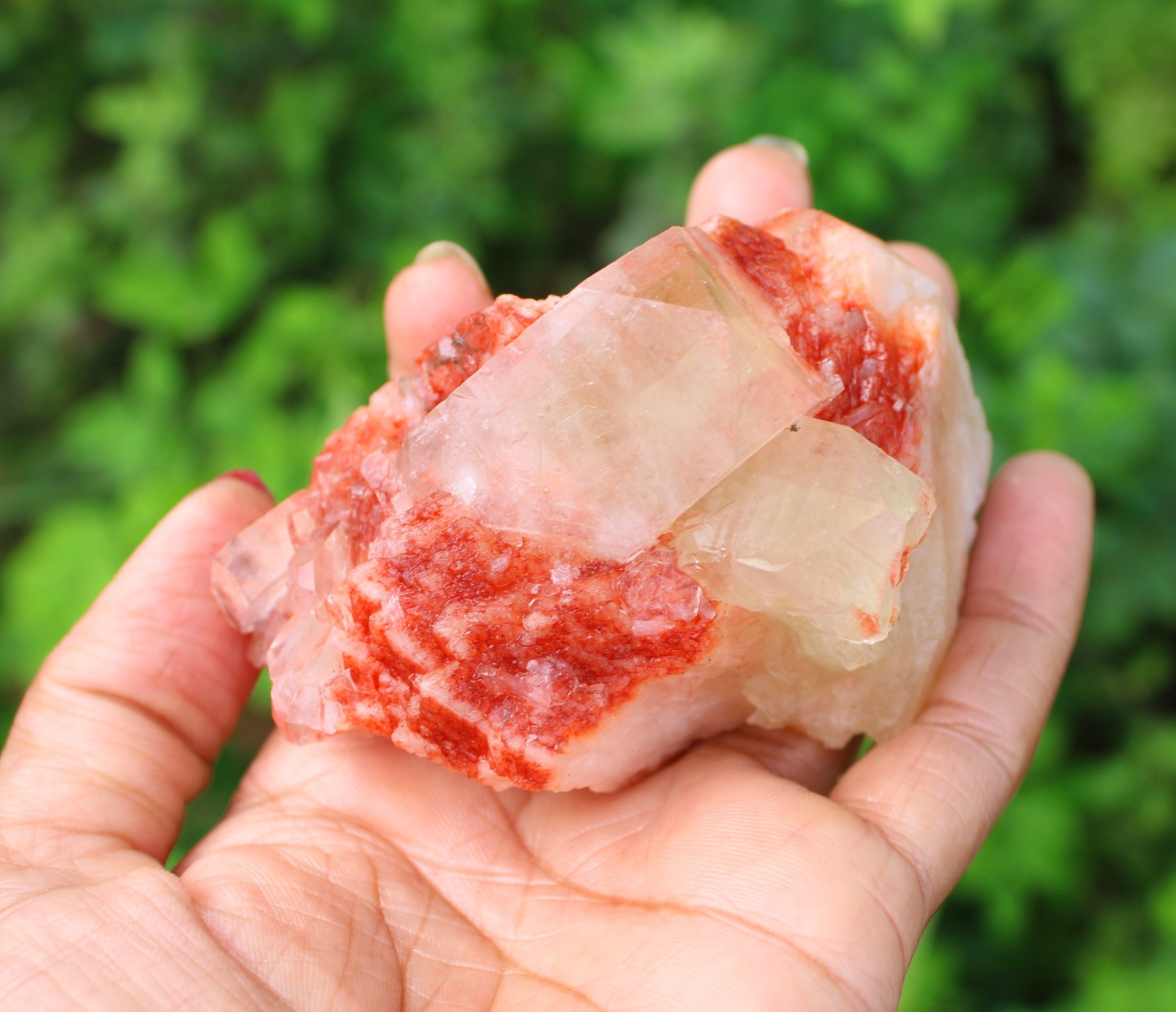 APOPHYLLITE CRYSTALS ON RED STILBITE MINERAL SPECIMEN