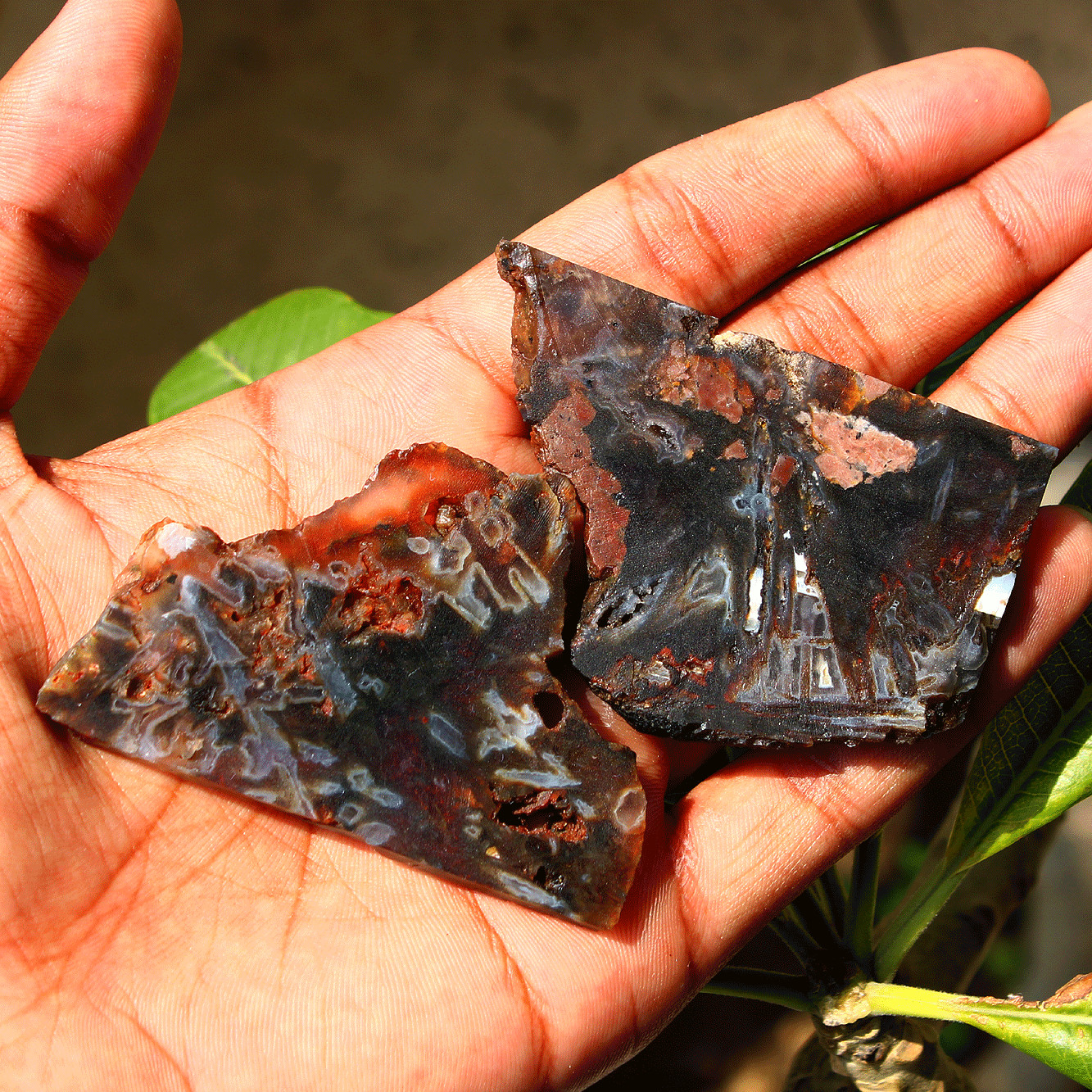 2 Pcs Natural Turkish Agate Stick Agate Raw Crystal Slice Druzy Mineral Specimen