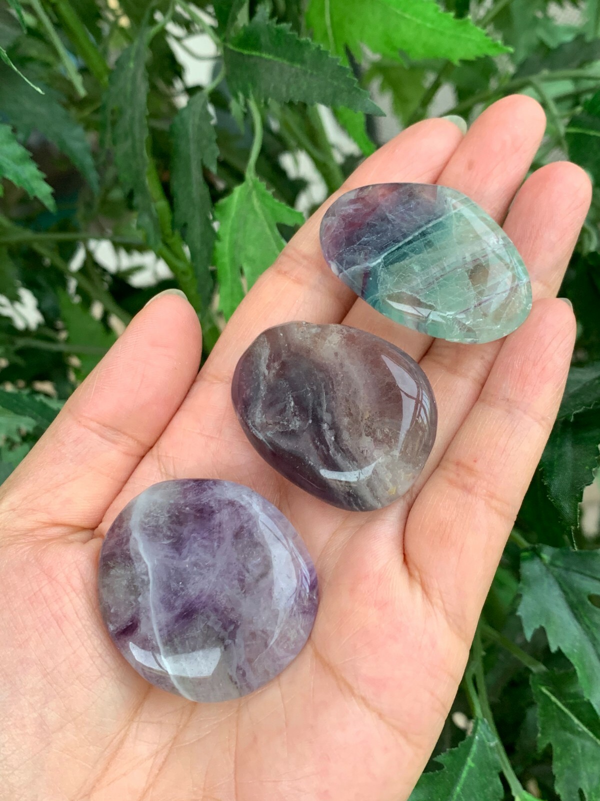 Fluorite Smooth Stone,1.5″-2″ Polished Fluorite Palm Stone, Wholesale Bulk Lot