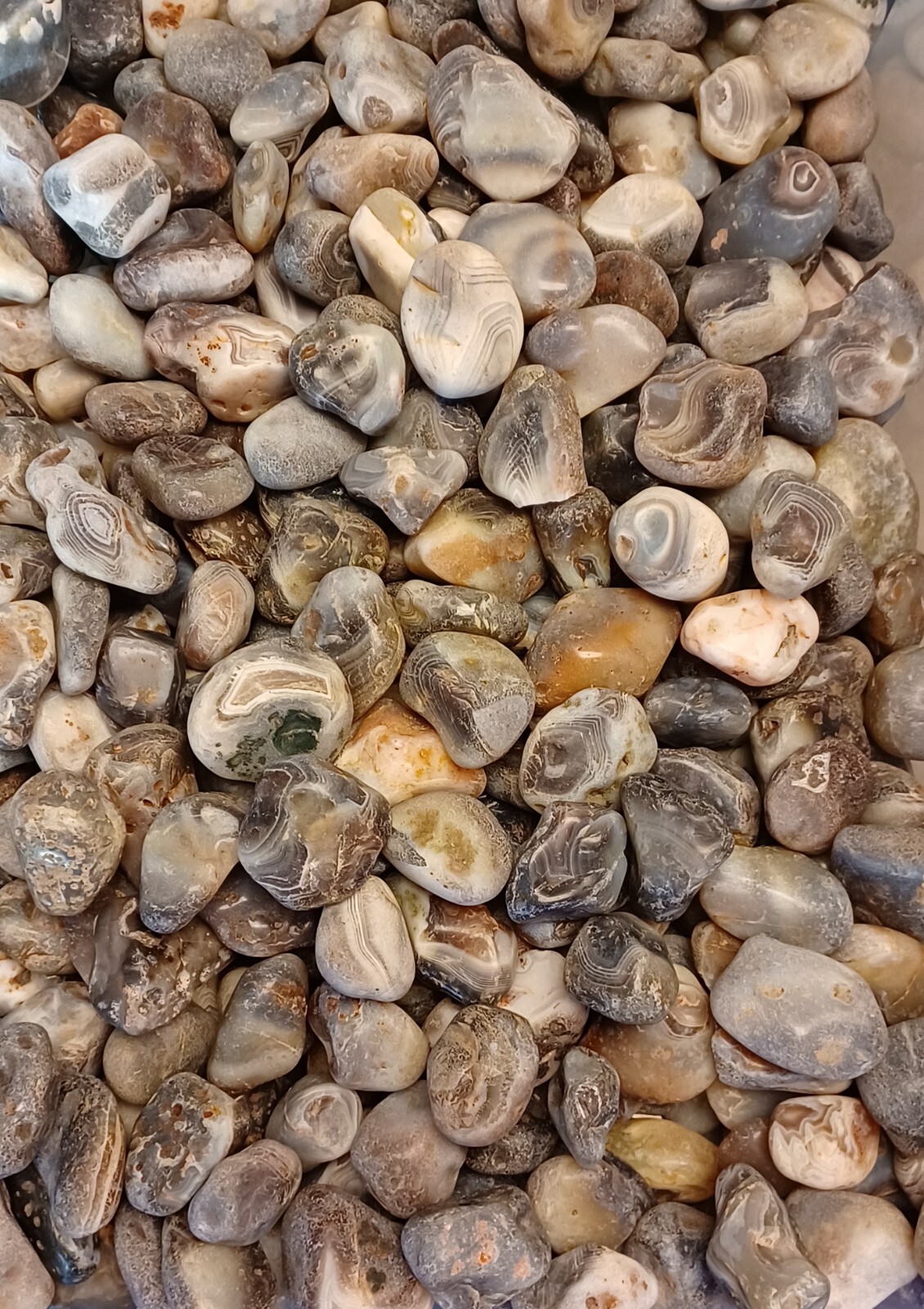 Botswana Agate rough 1-2″ A+ pound lbs tumbling lapidary banding wholesale bulk