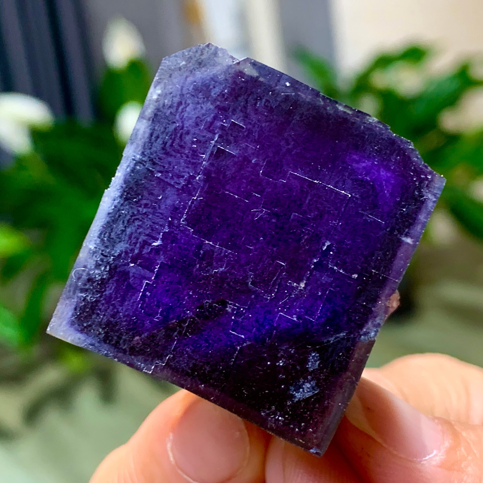 59G Inner Mongolia Natural Fluorite Purple Edged Cube Crystal Mineral Specimen