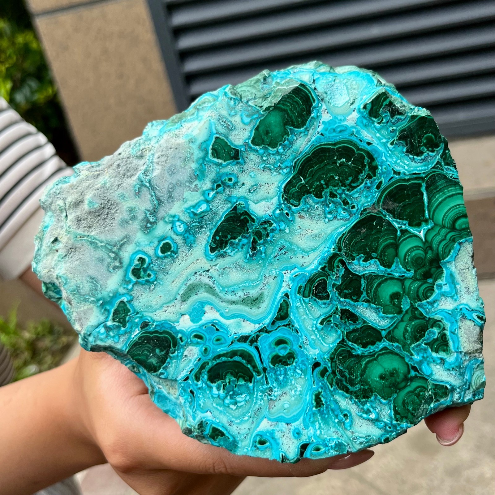 Natural Blue Green Chrysocolla Slice Polished Crystal Healing Stone 554 g