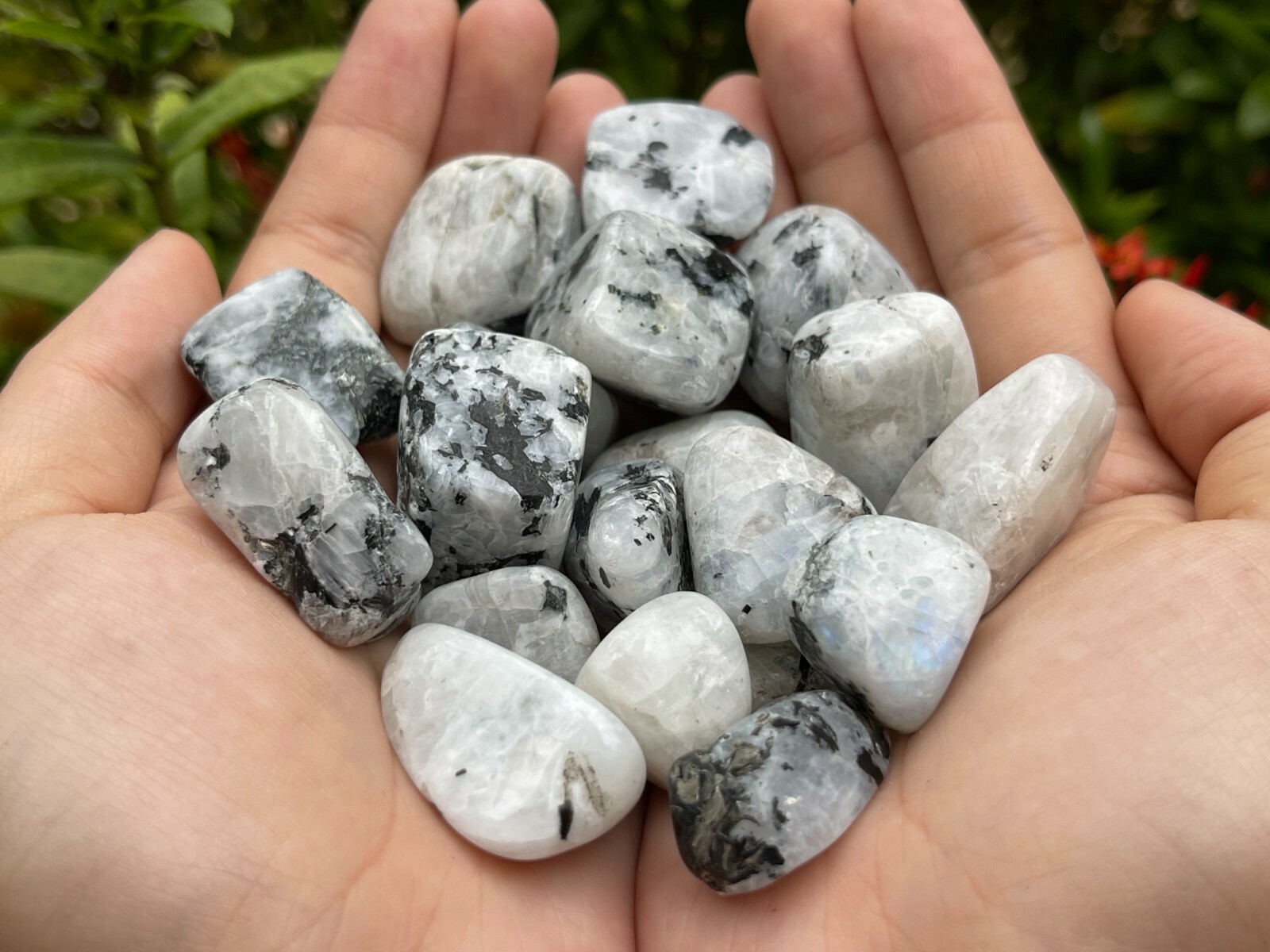 Rainbow Moonstone Tumbled Stone, 0.75-1″ Tumbled Rainbow Moonstone, Bulk Lots