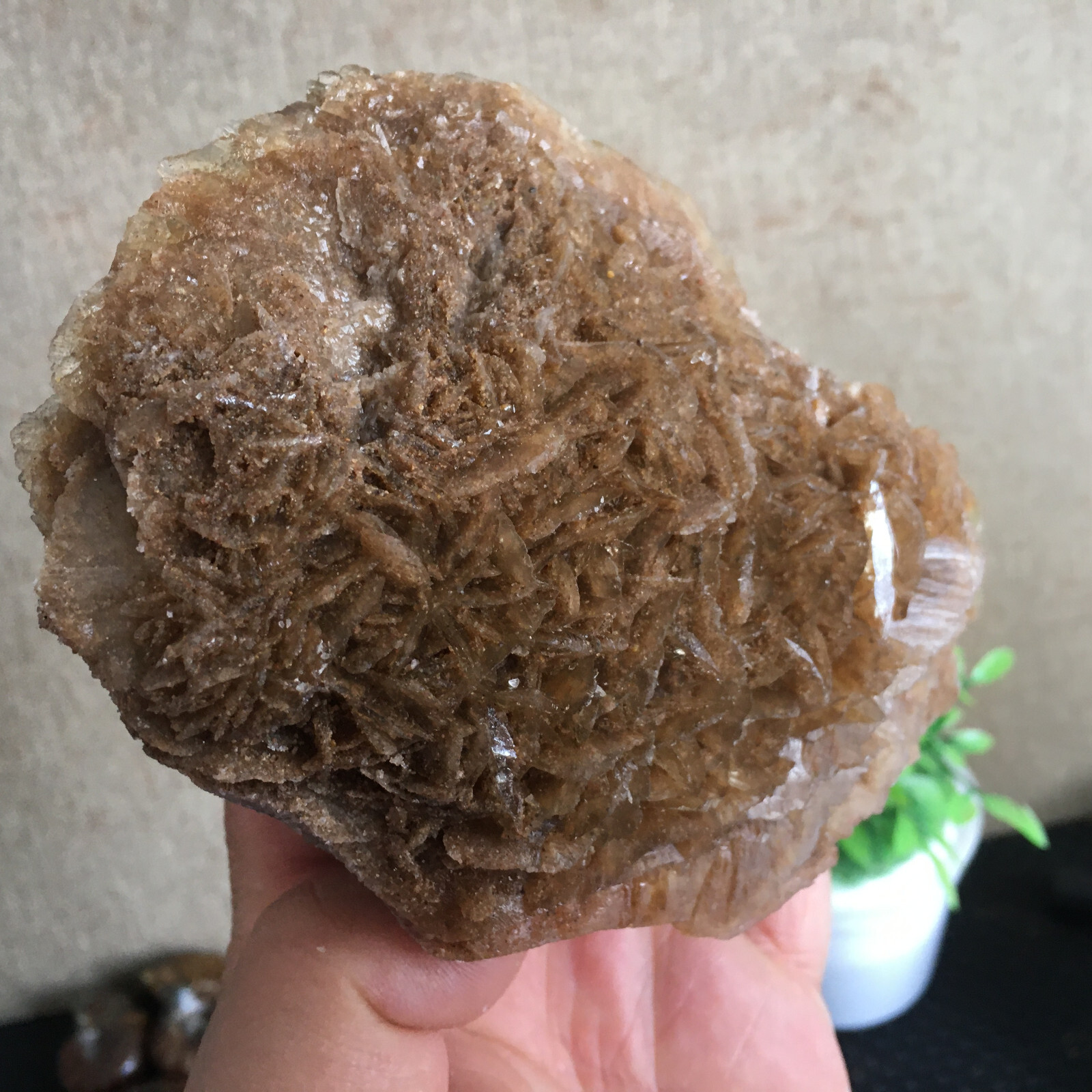 449g Natural Crystal Stone Desert Rose Specimen Decoration B1562