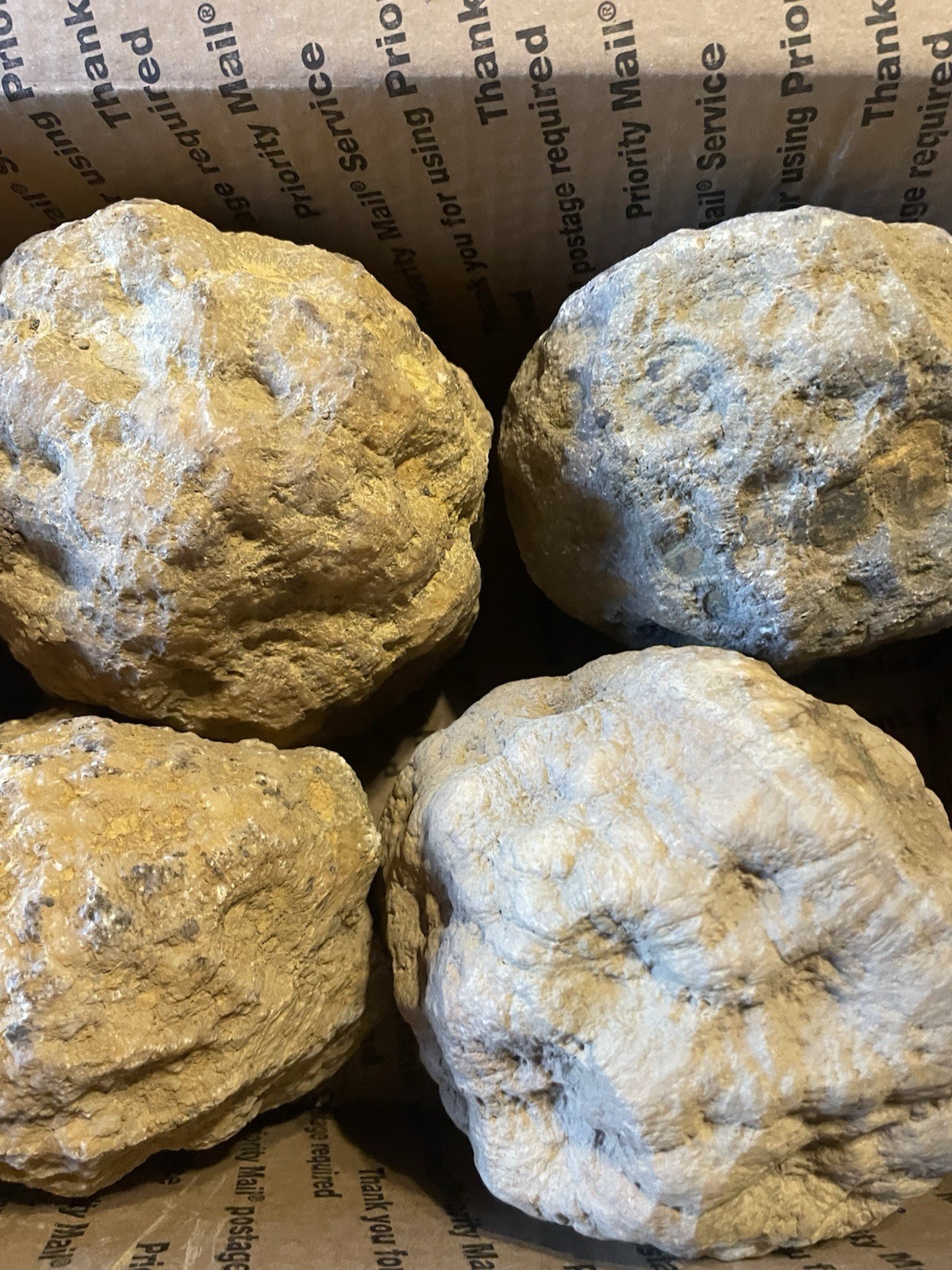 BOX OF KENTUCKY GEODES:4 BIG GEODES ALL RATTLE *4=21 LBS* ALL RATTLE