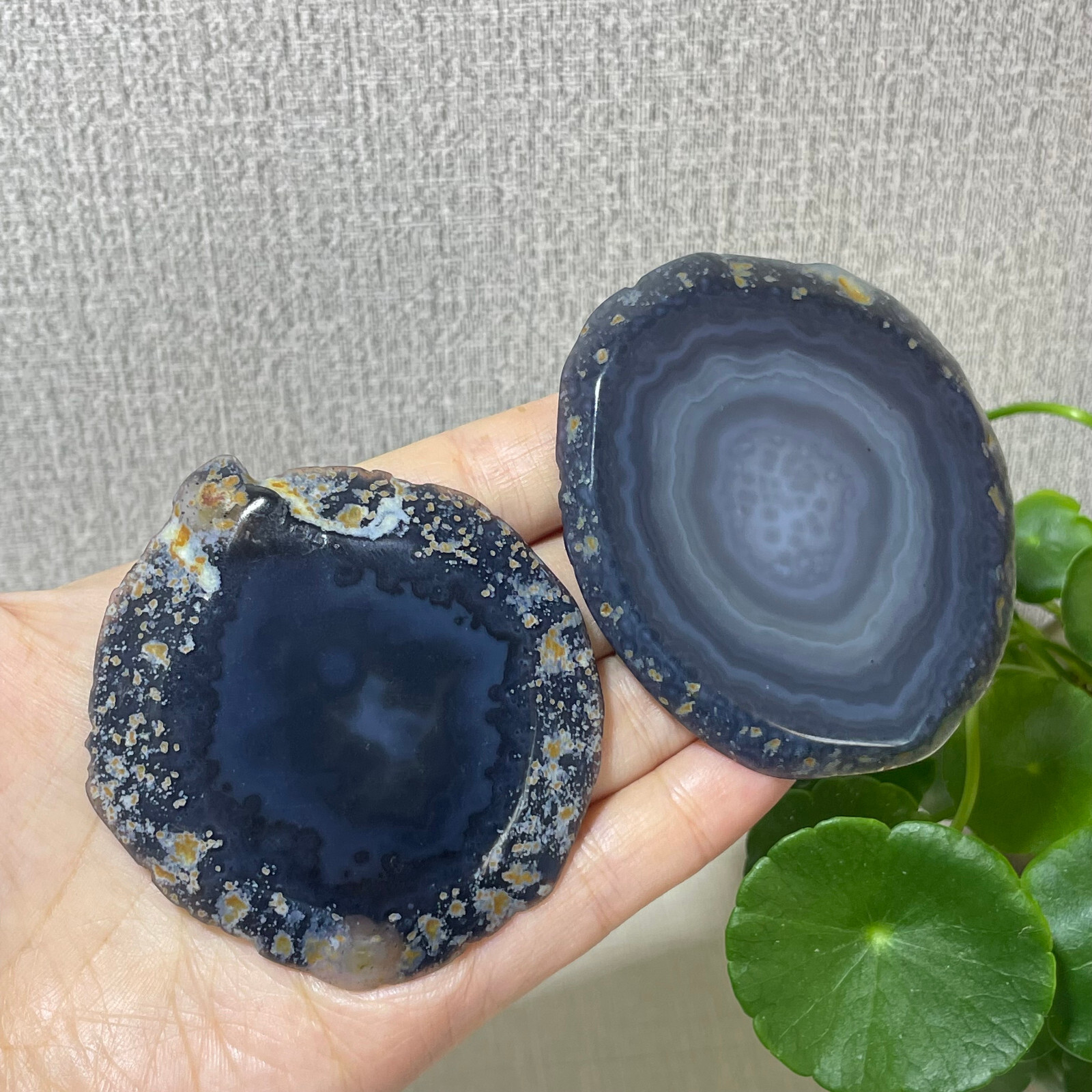 2pcs Brazilian Agate Geode Slab/Slice- Natural Druzy quartz crystals 87g a7712