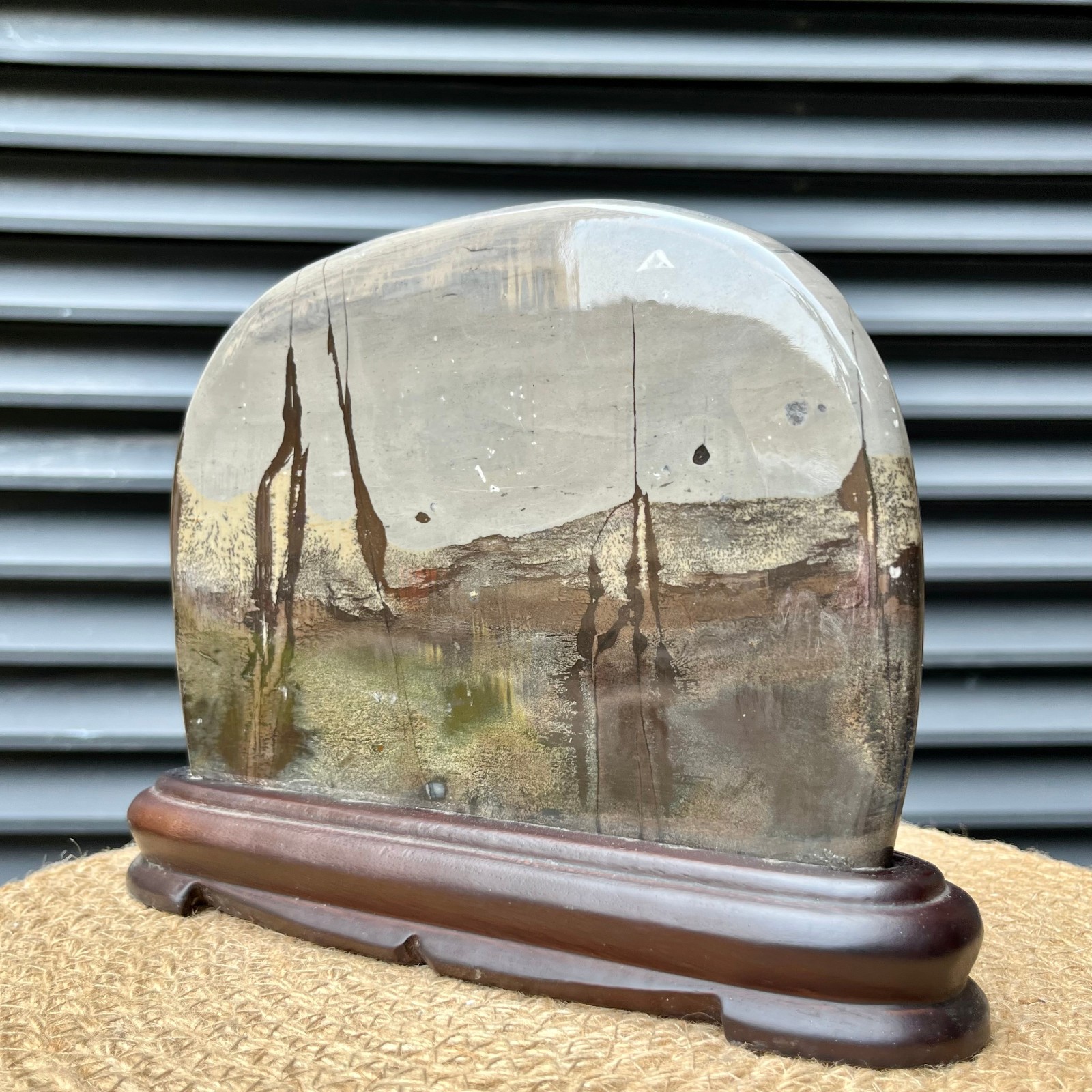 Polished Scenic Stone Natural Pattern Display Art Home Decor 4.7 lb