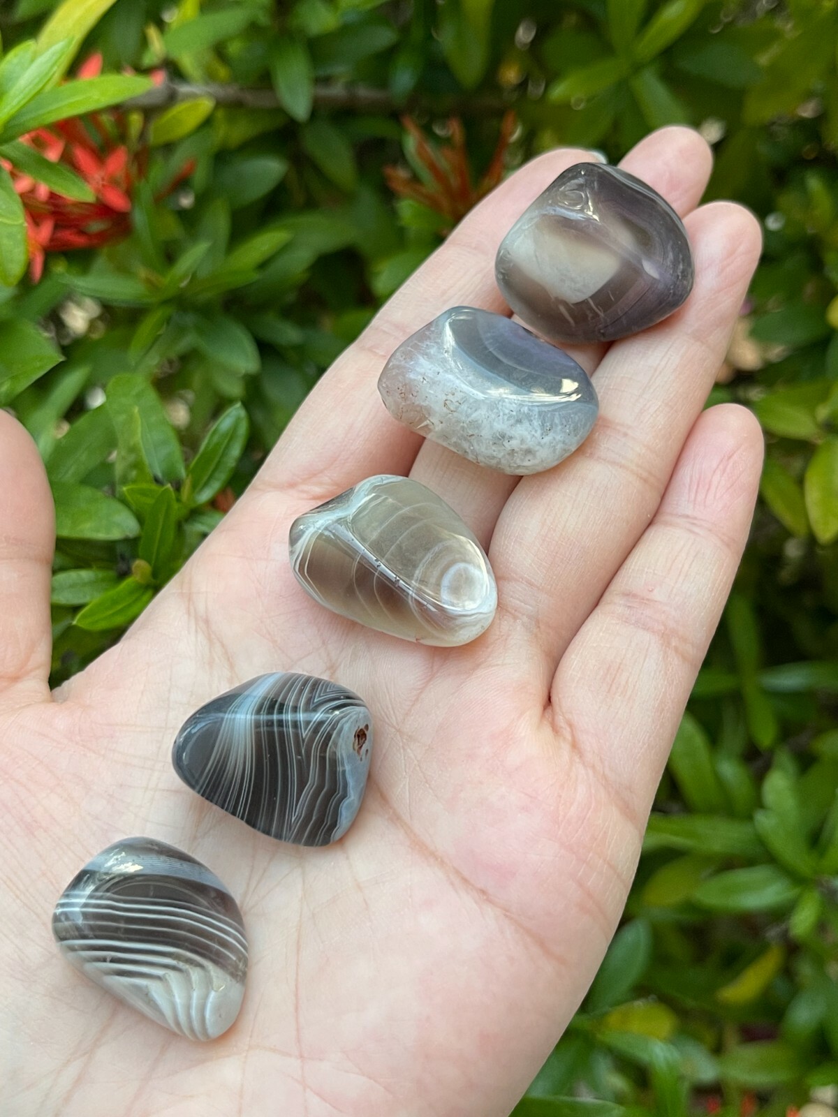 Grade A++ Botswana Agate Tumbled Stones 0.75-1 Inch, Pick How Many