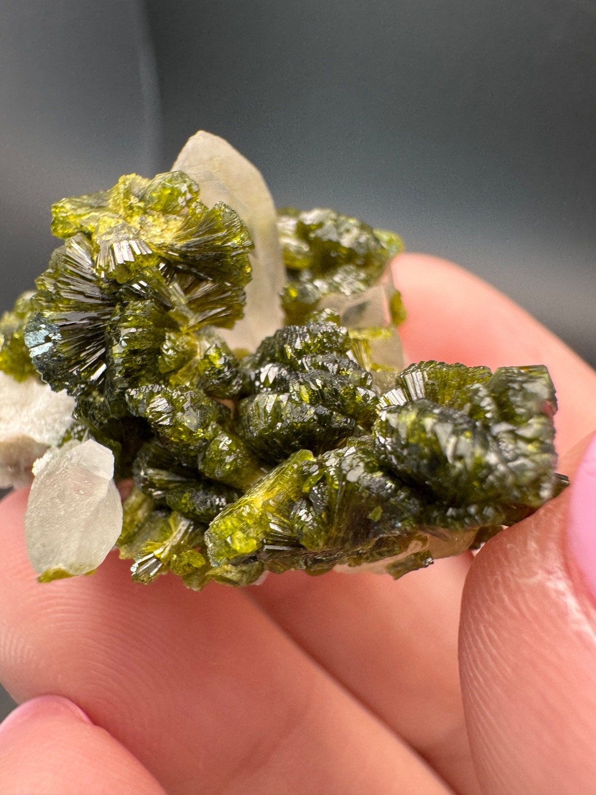 6804 High Quality Gemmy and Bright Green Epidote on Quartz in Perky 15g Morocco