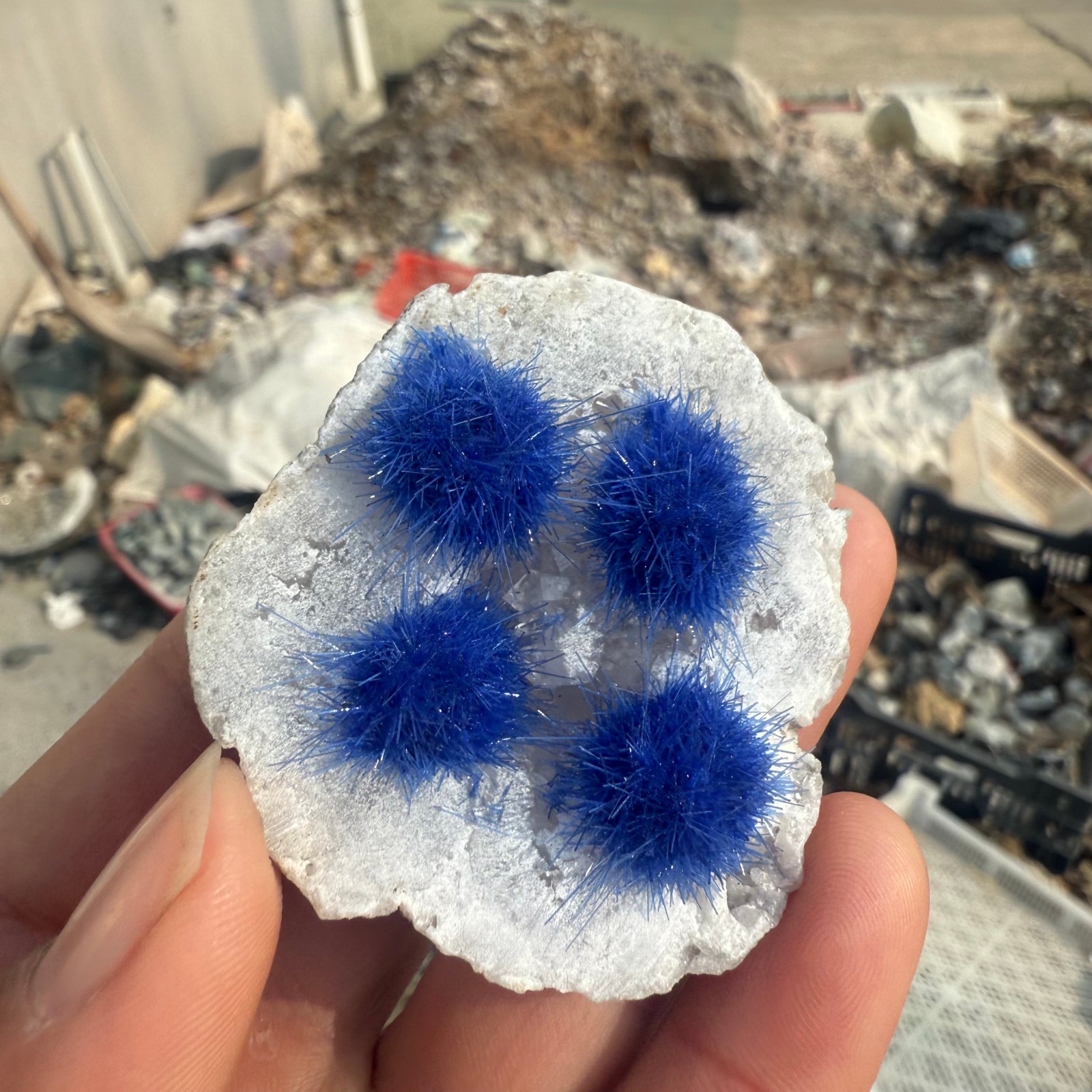 Raw Rough Dandelion Zeolite Cluster Blue Cave Quartz Crystal Decoration 10pc