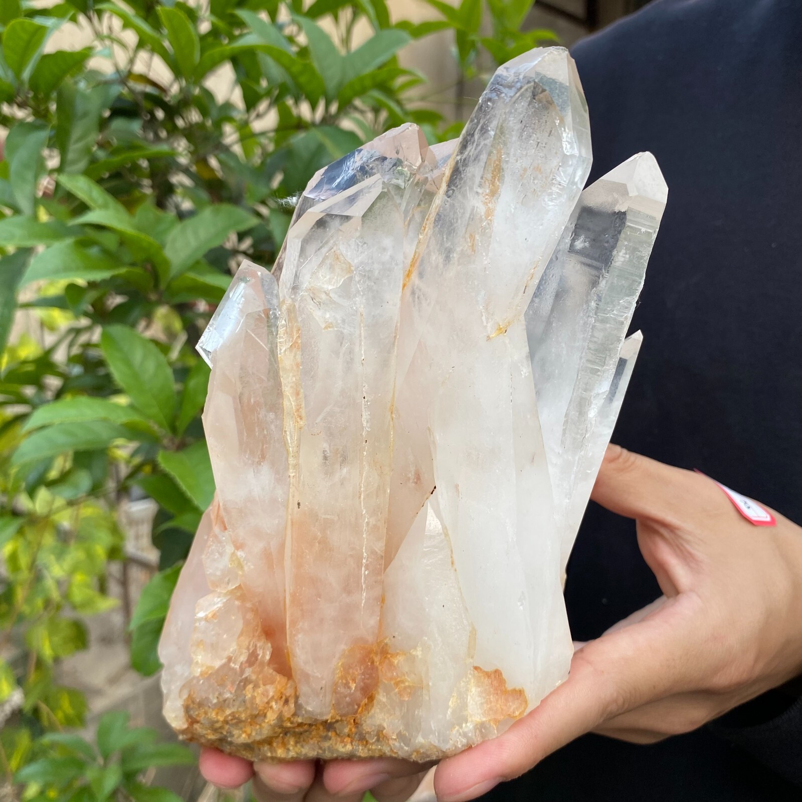 3.9lb Natural Clear White quart Crystal Cluster Raw Healing Specimen