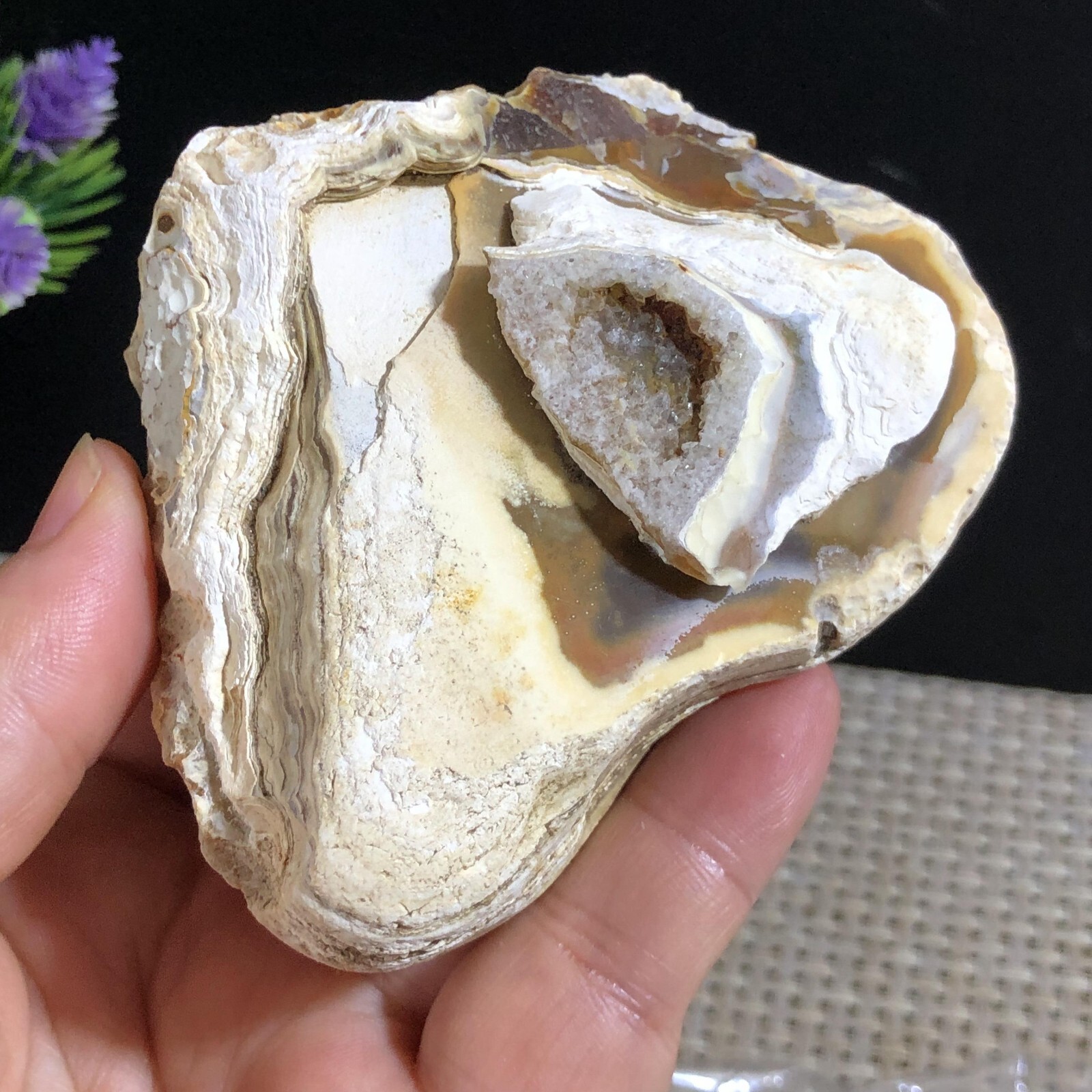 205g Bonsai Suiseki- Gobi Agate Eyes Stone-Rare Stunning Viewing #276