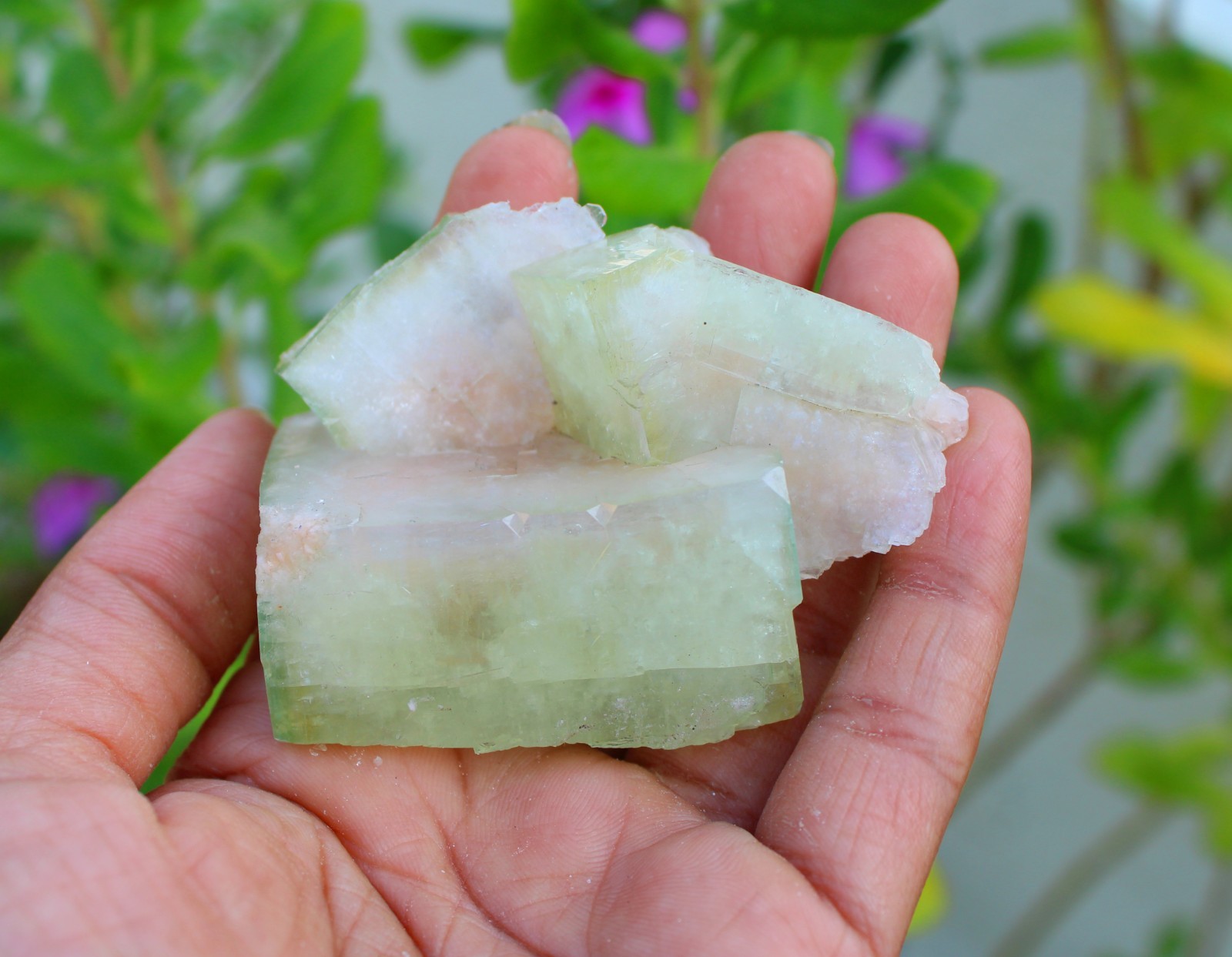 Green Apophyllite Crystals Minerals Specimen #A49