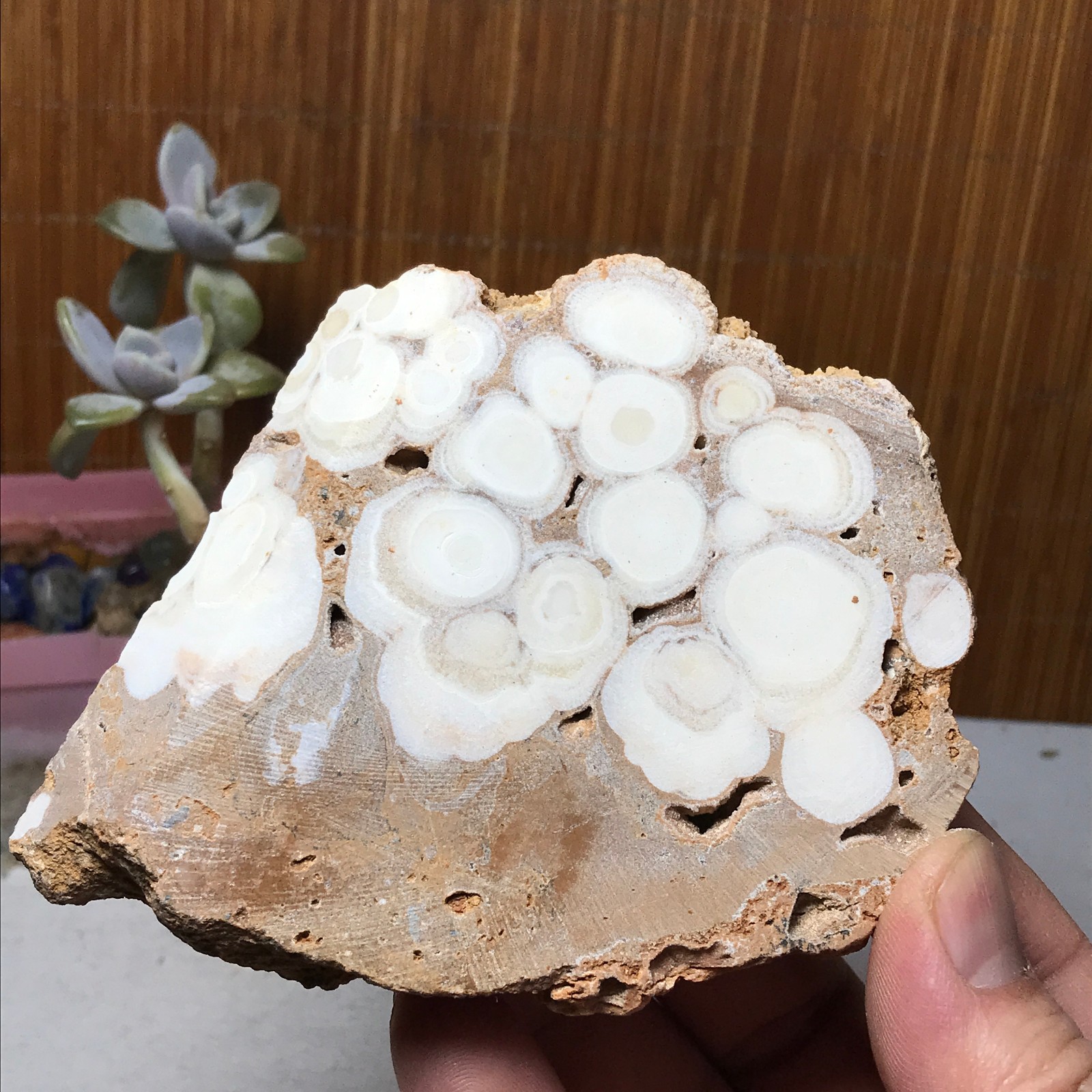 89-82-17mm Natural sakura slice Crystal gemstone Rough Specimen 233g A3301