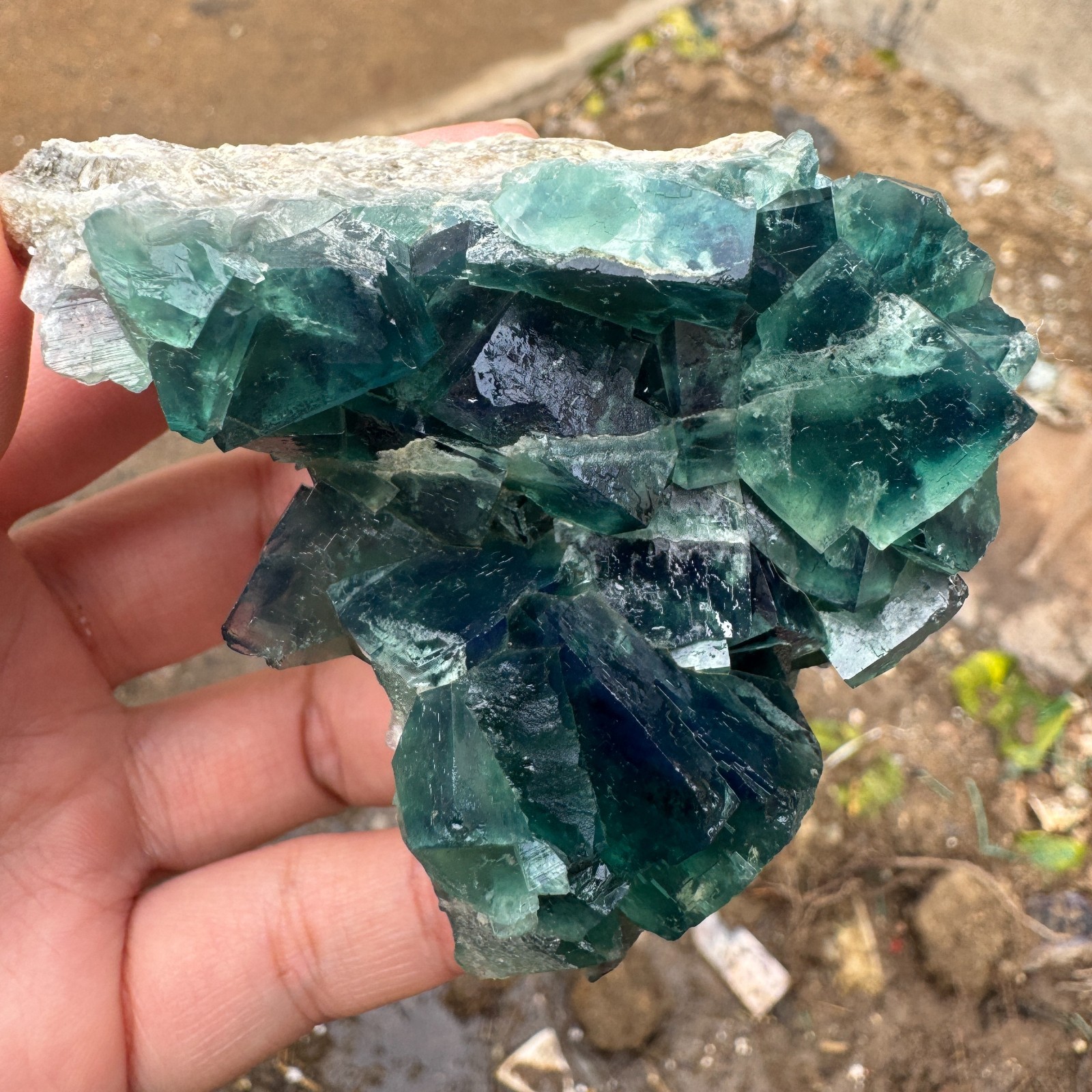 190G Natural cubic green fluorite crystal cluster rough mineral specimen Healing