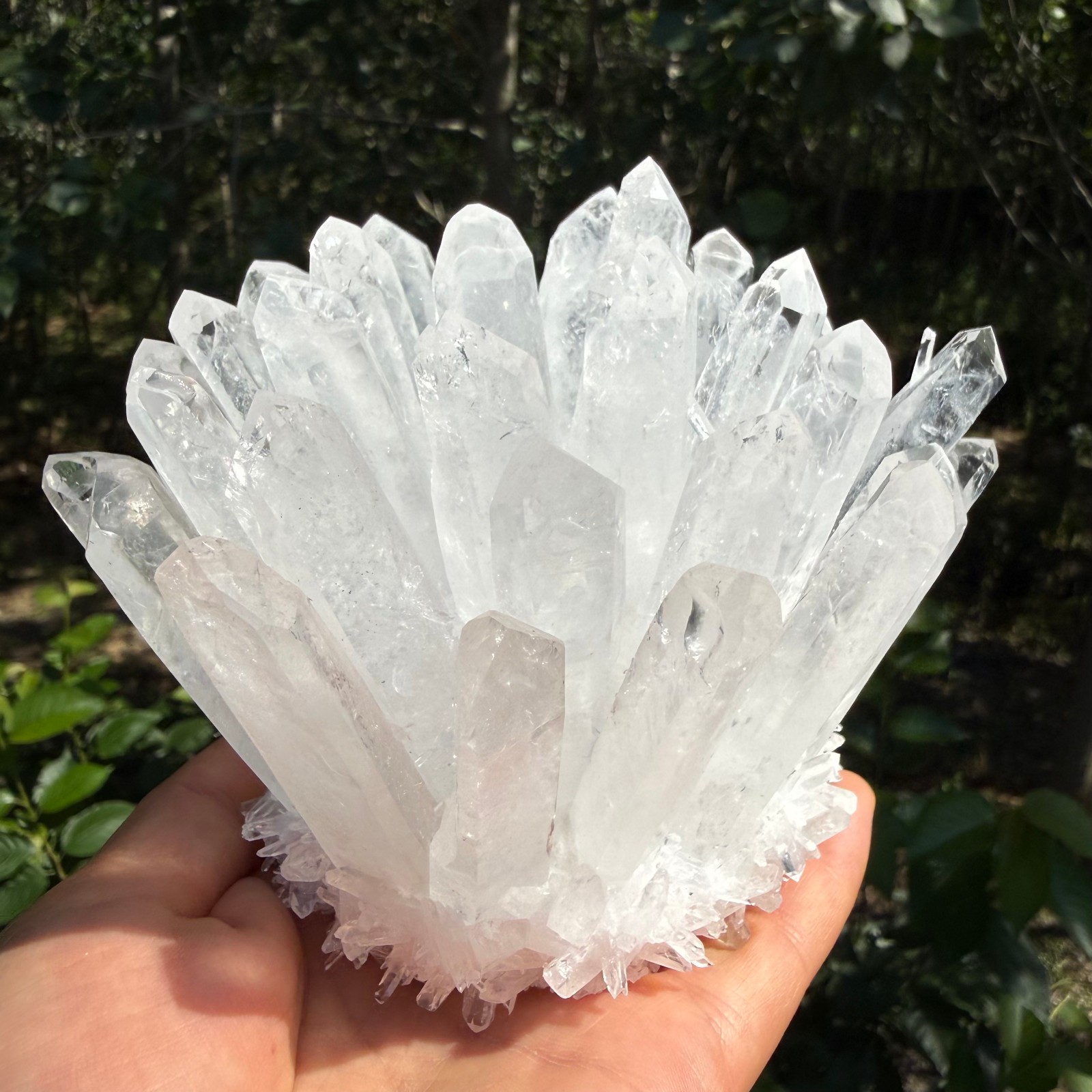 2.2LB Large Natural White Clear Quartz Cluster Crystal Mineral Healing 1pc